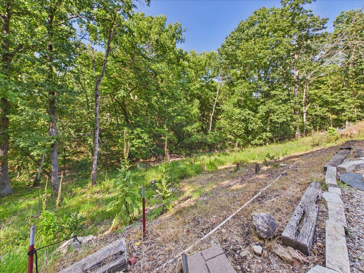 25849 County Road 306 Property Photo 16