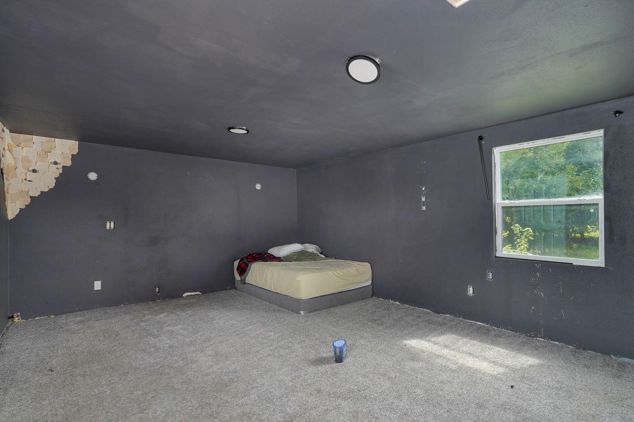 13440 State Highway 96 Property Photo 6