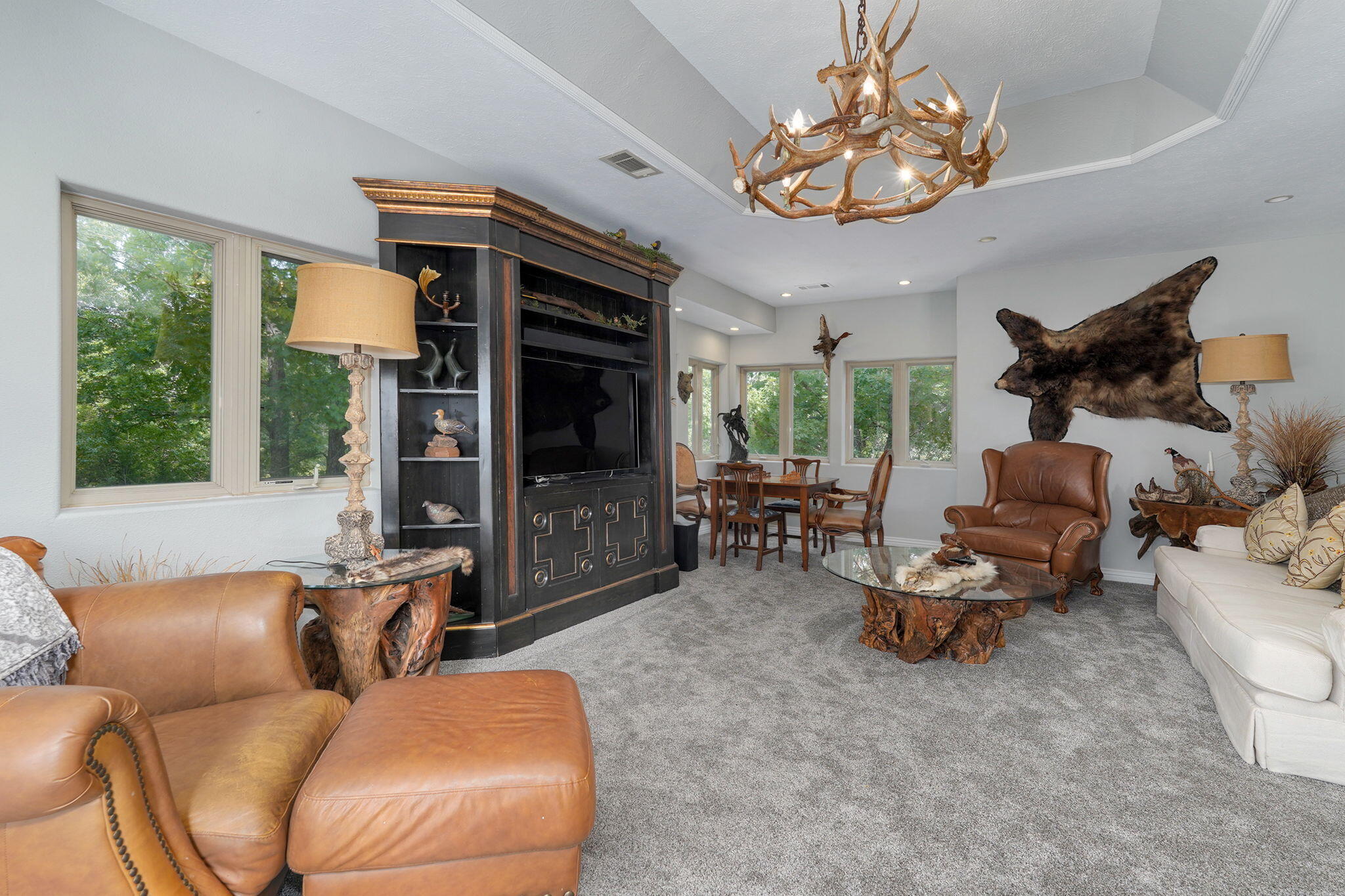 4790 State Highway Dd Property Photo 25