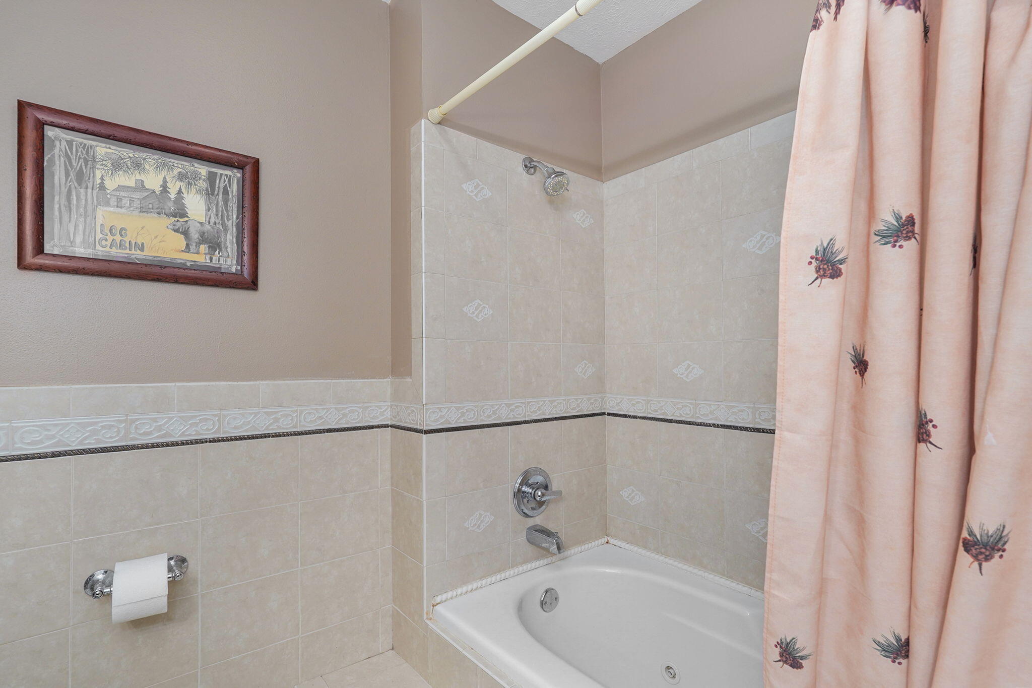 4790 State Highway Dd Property Photo 73