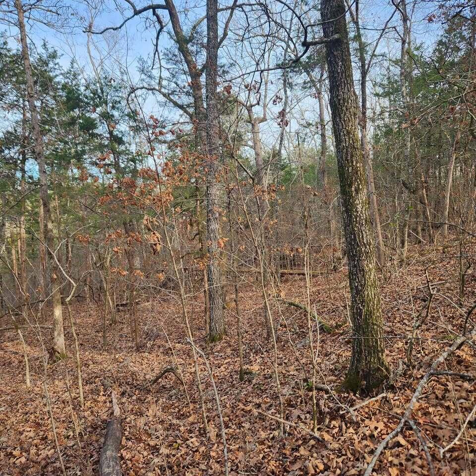 000 Persinger Road Property Photo 13