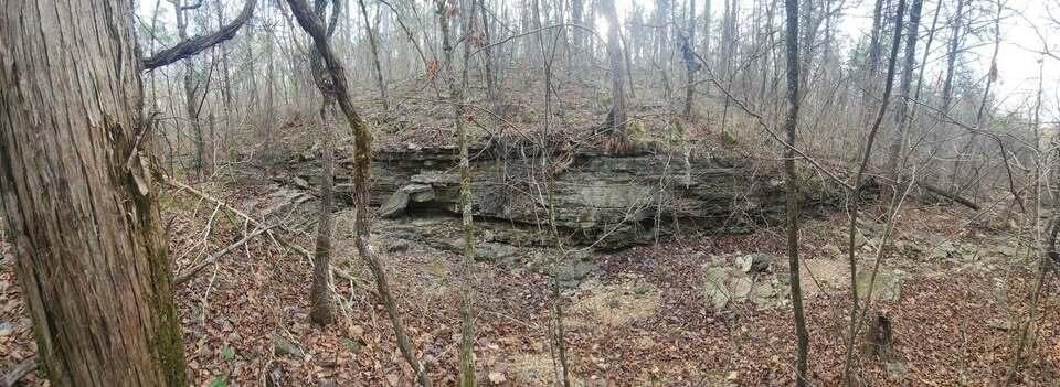 000 Persinger Road Property Photo 17