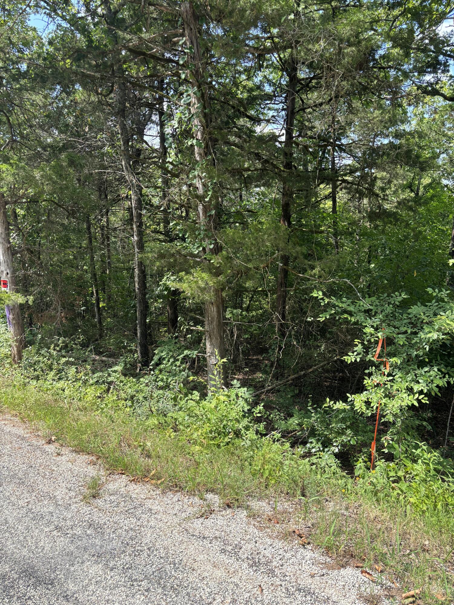 000 Persinger Road Property Photo 18