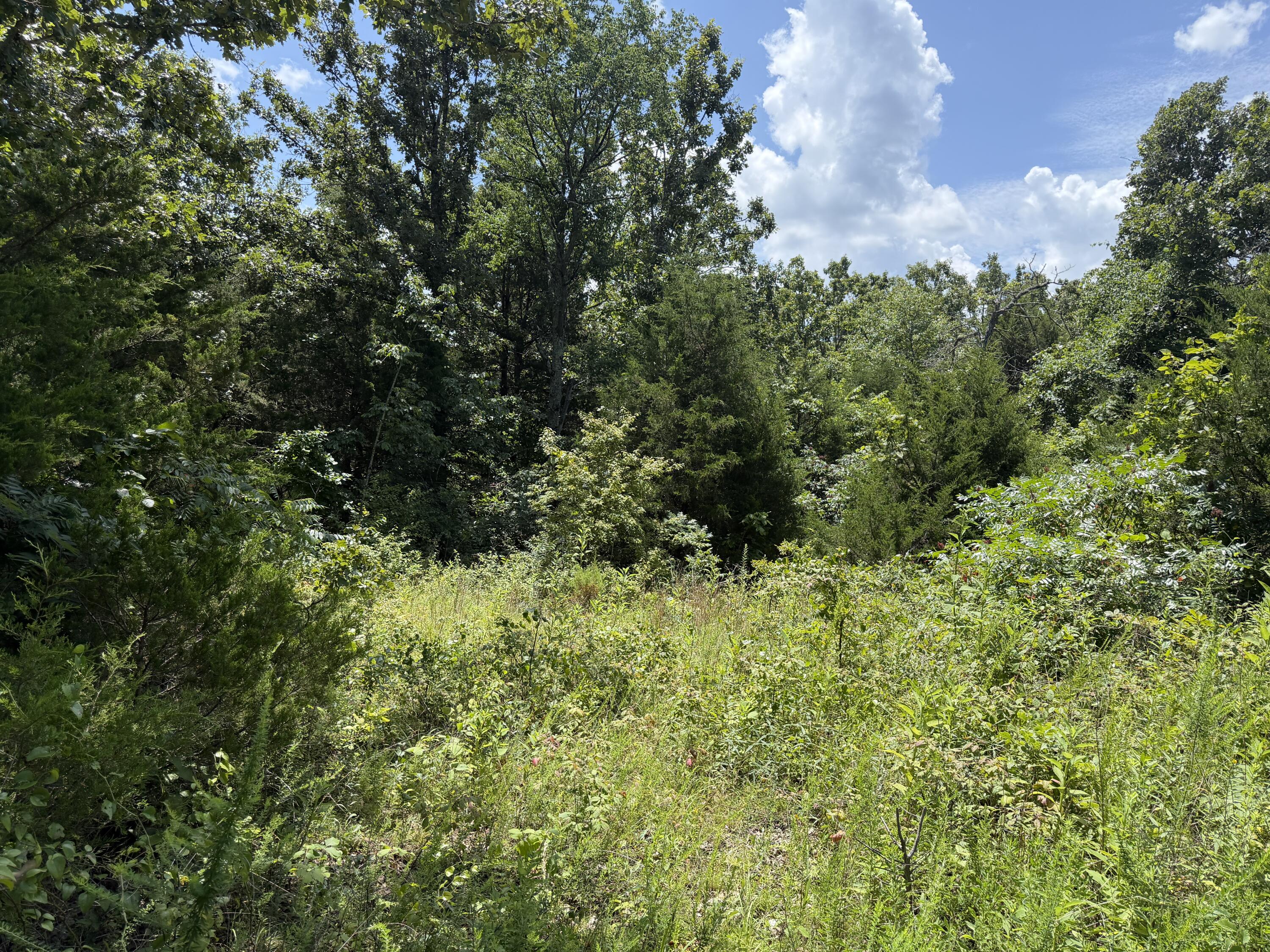 000 Ranch Road