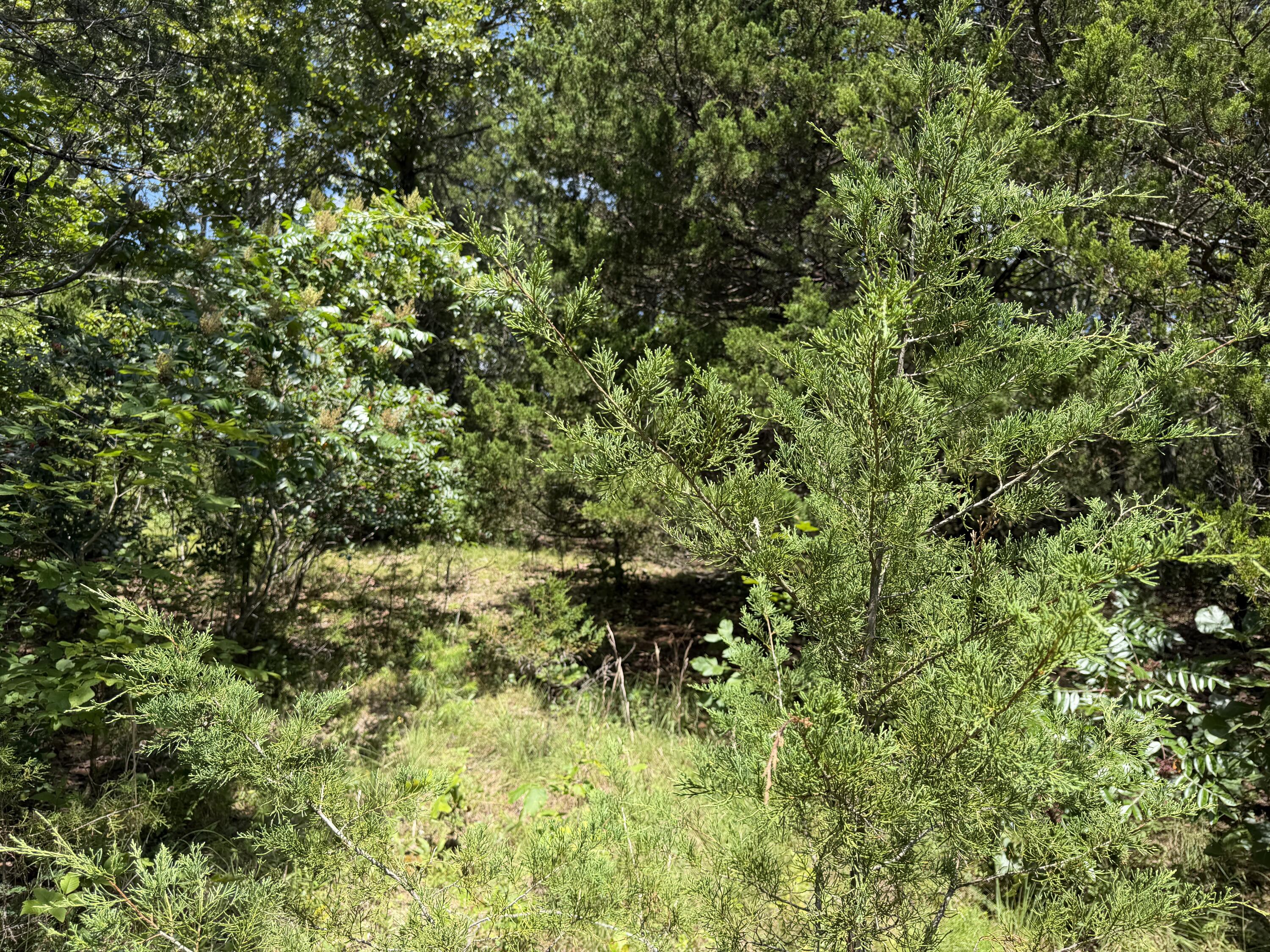 000 Ranch Road Property Photo 2