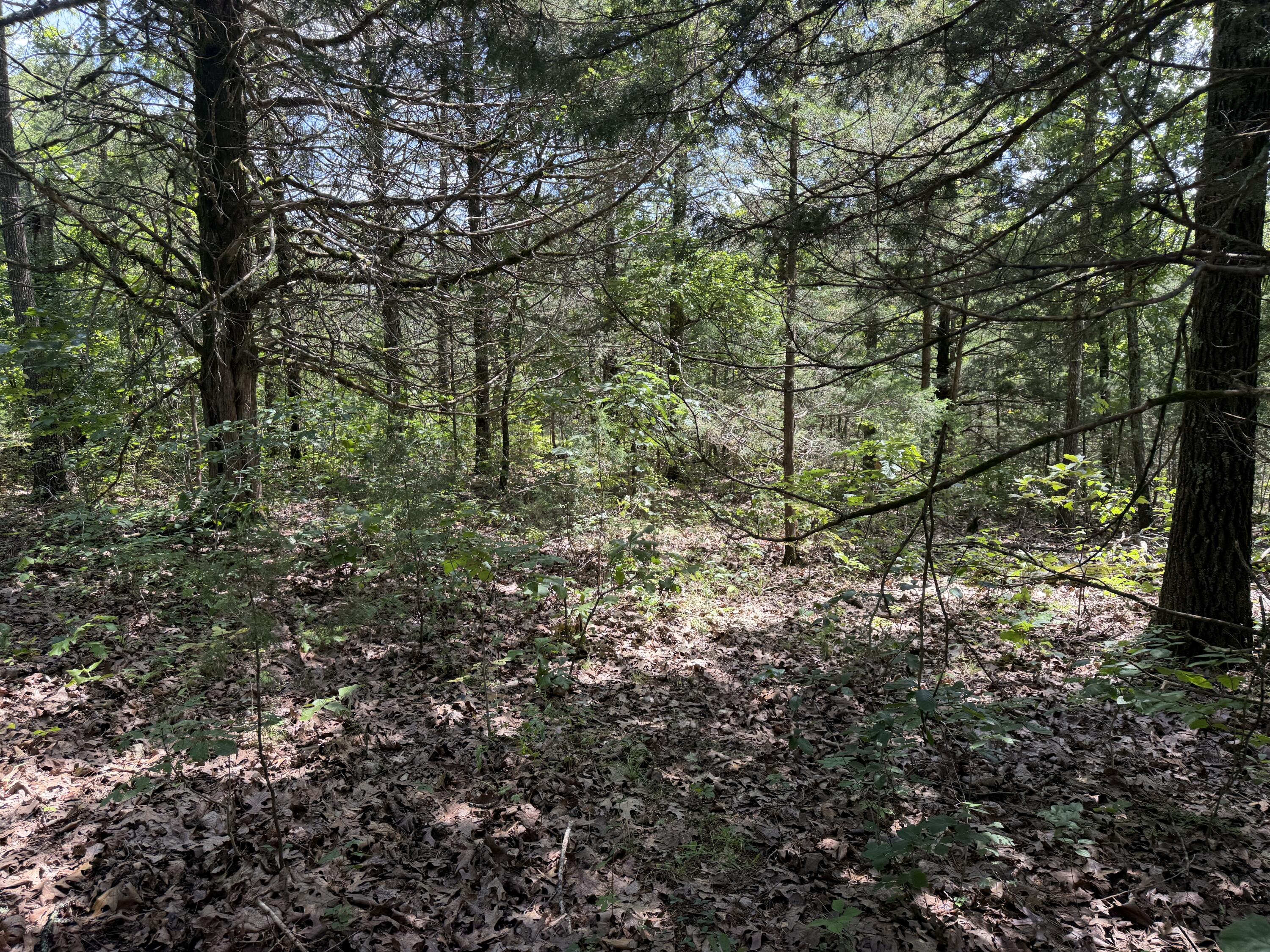 000 Ranch Road Property Photo 3