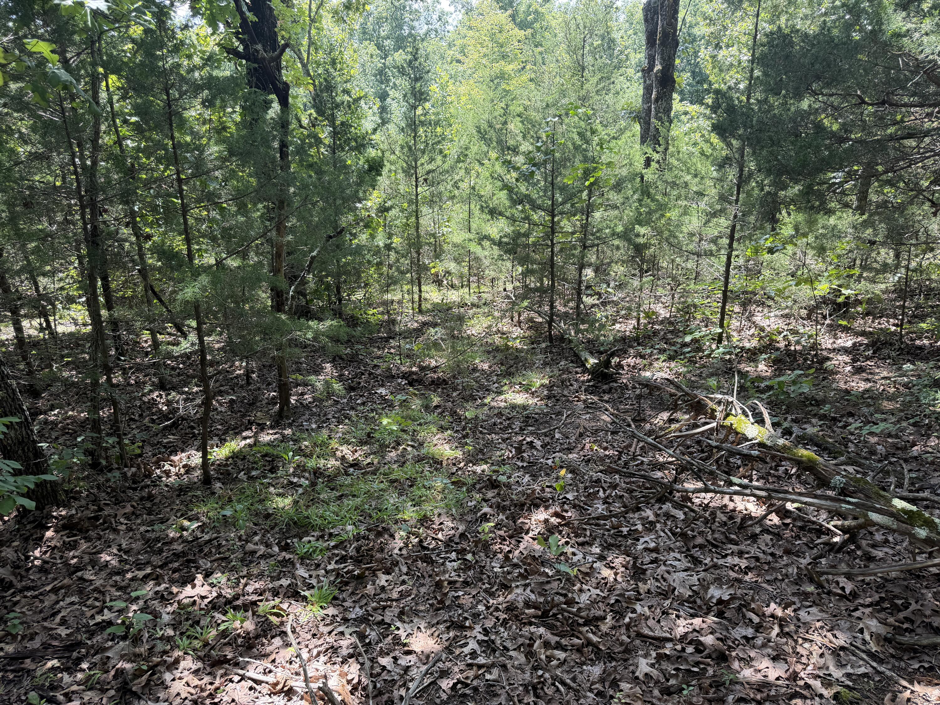 000 Ranch Road Property Photo 4