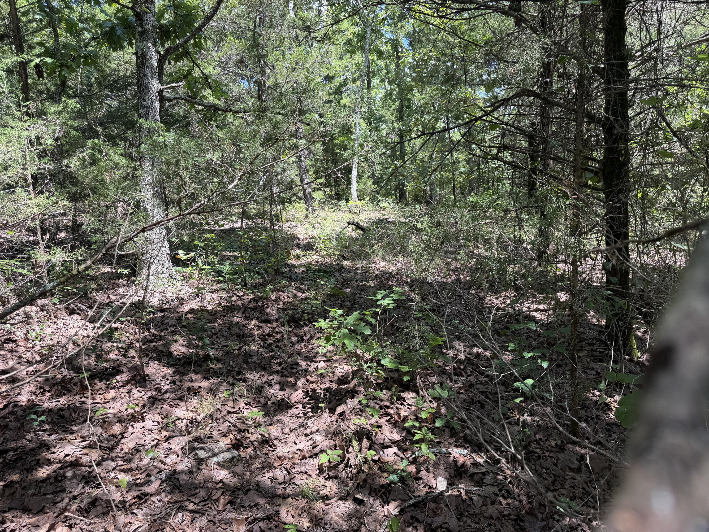 000 Ranch Road Property Photo 5