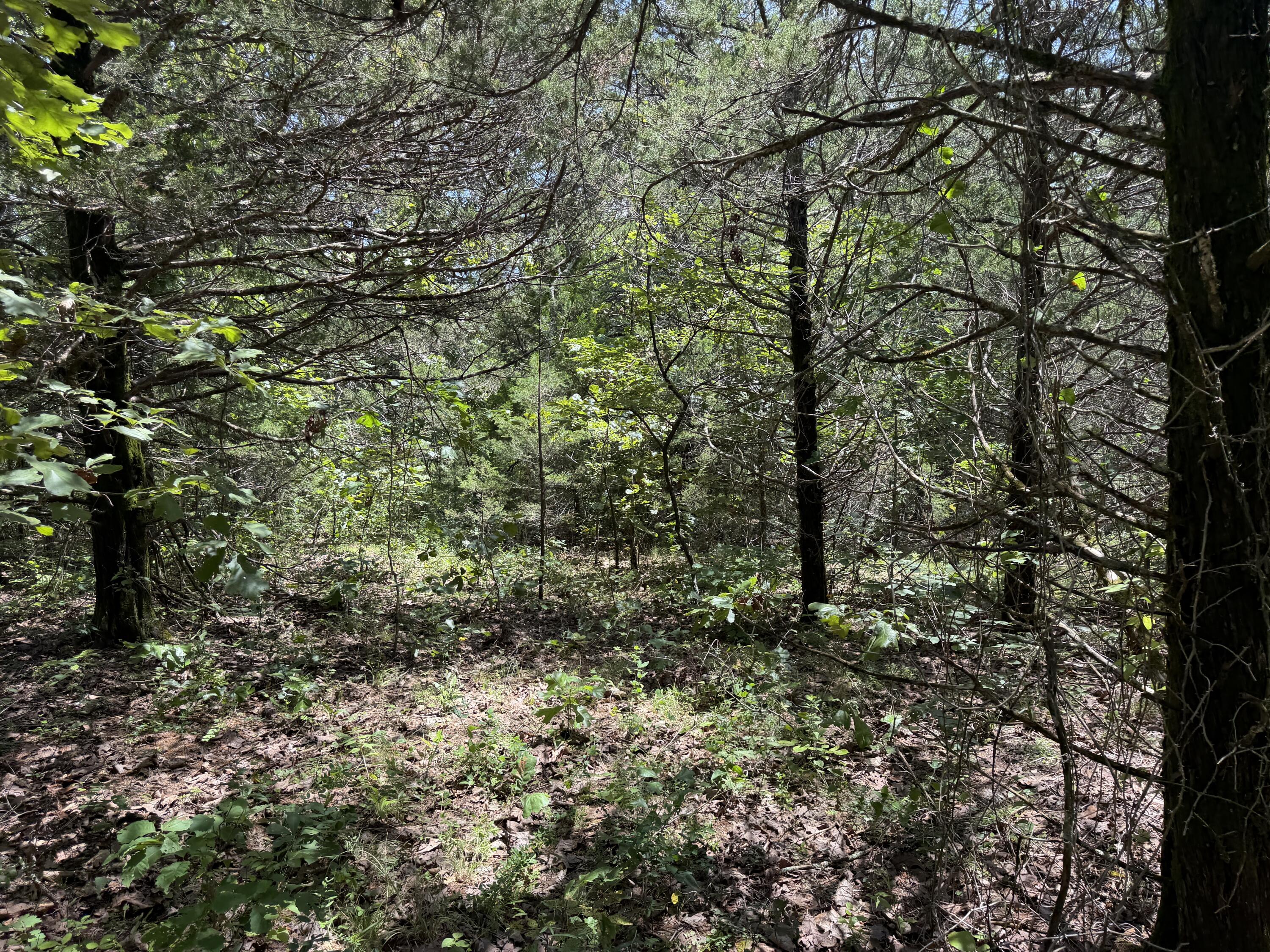 000 Ranch Road Property Photo 6