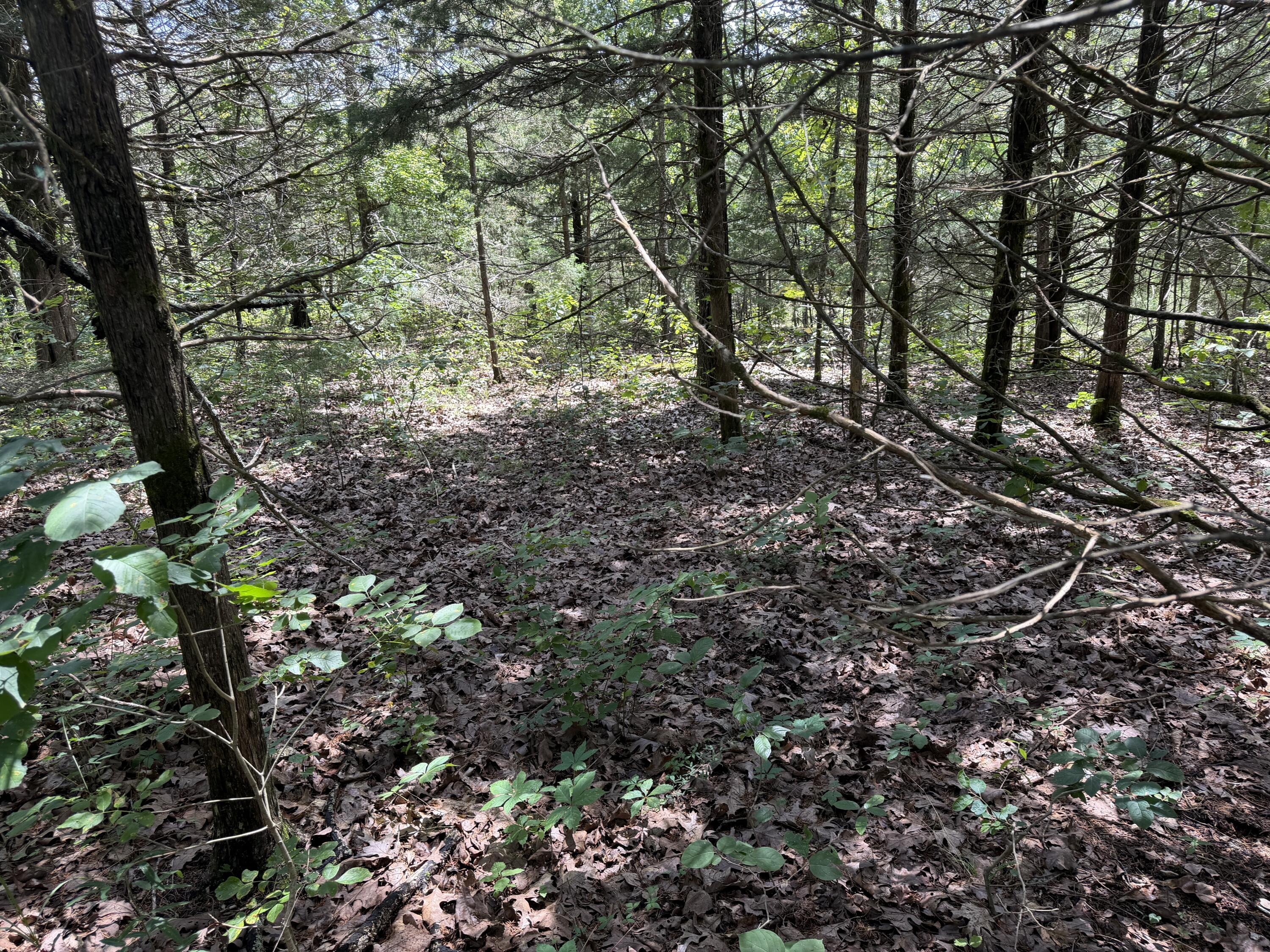000 Ranch Road Property Photo 7
