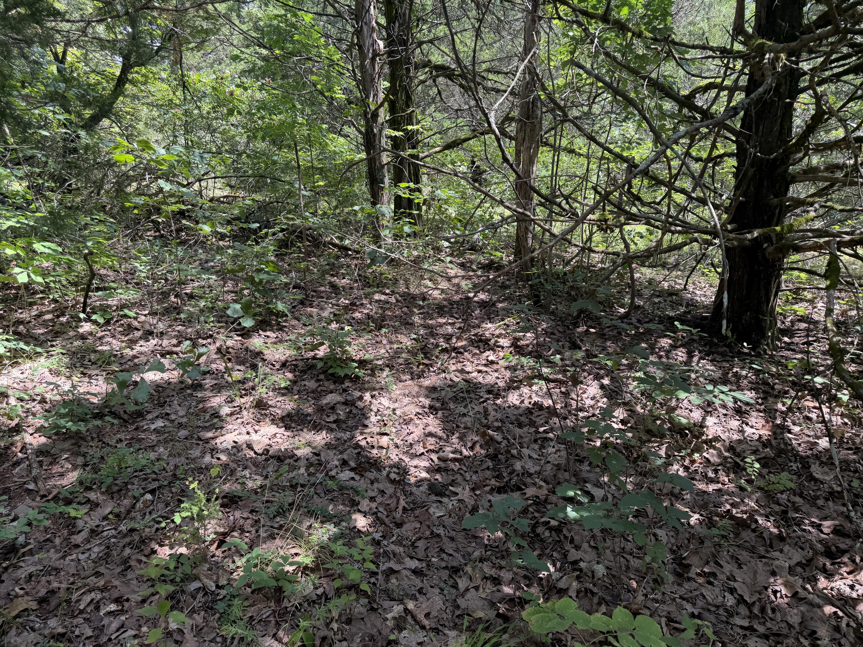 000 Ranch Road Property Photo 8