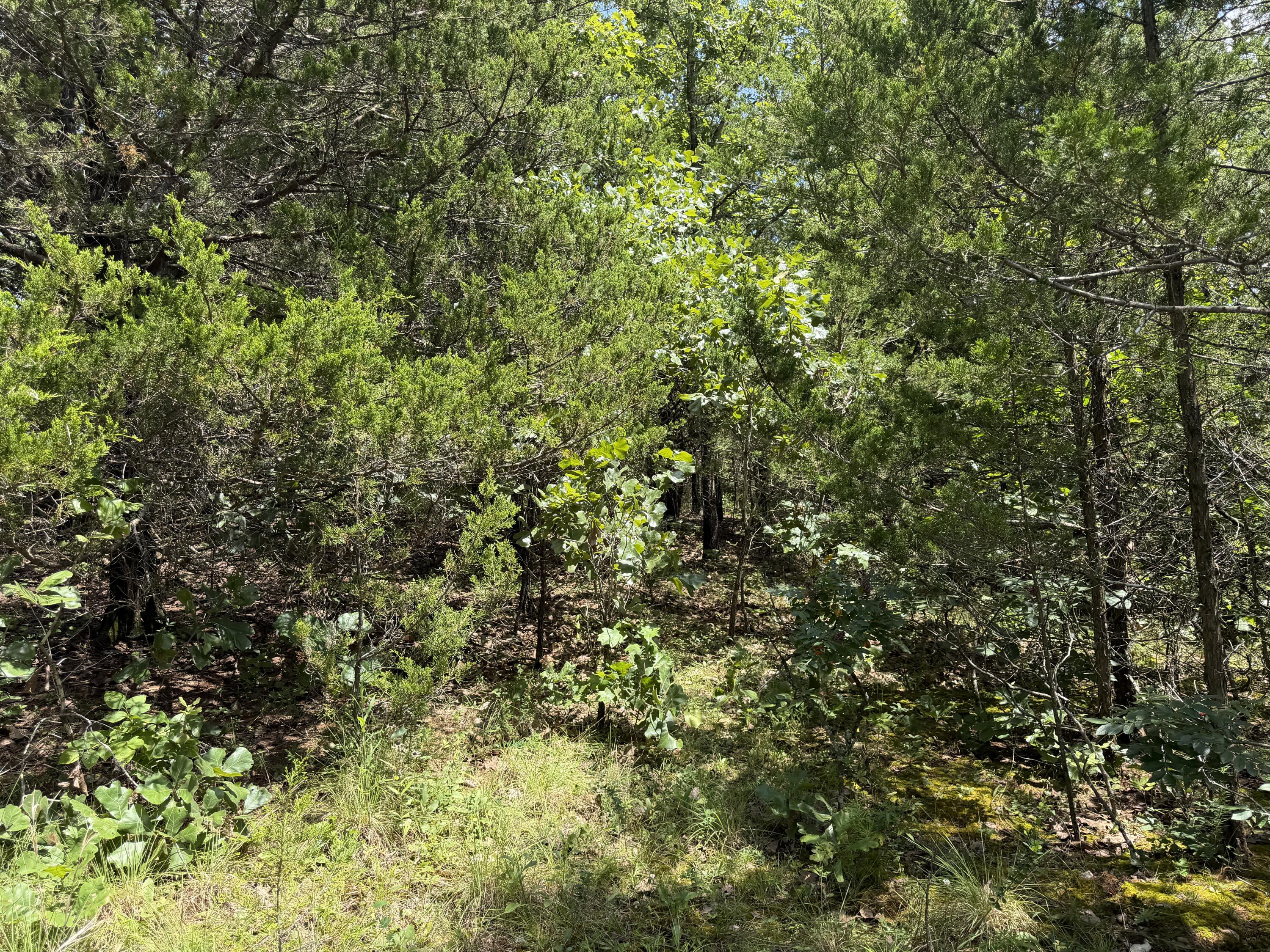 000 Ranch Road Property Photo 9