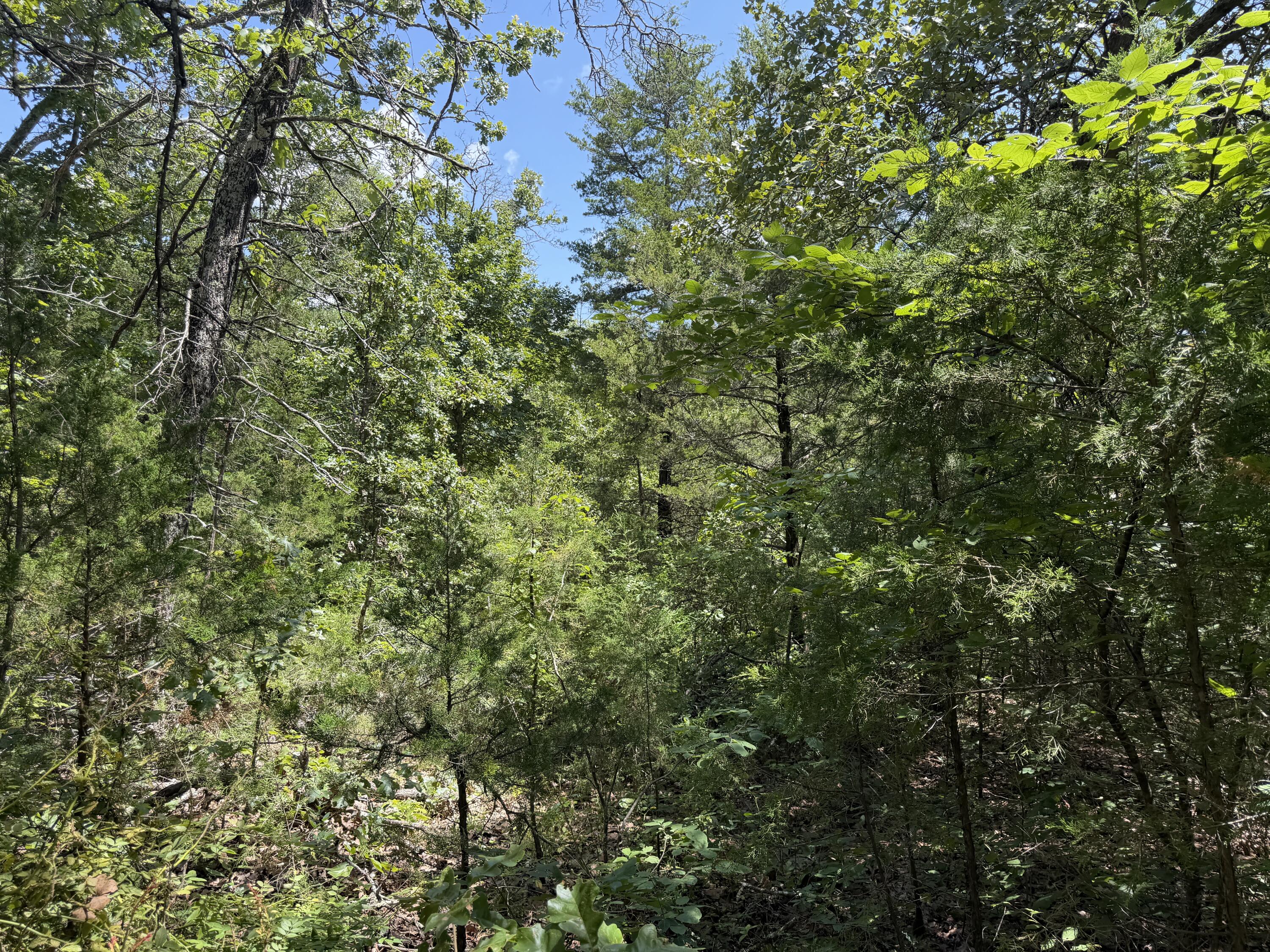 000 Ranch Road Property Photo 10