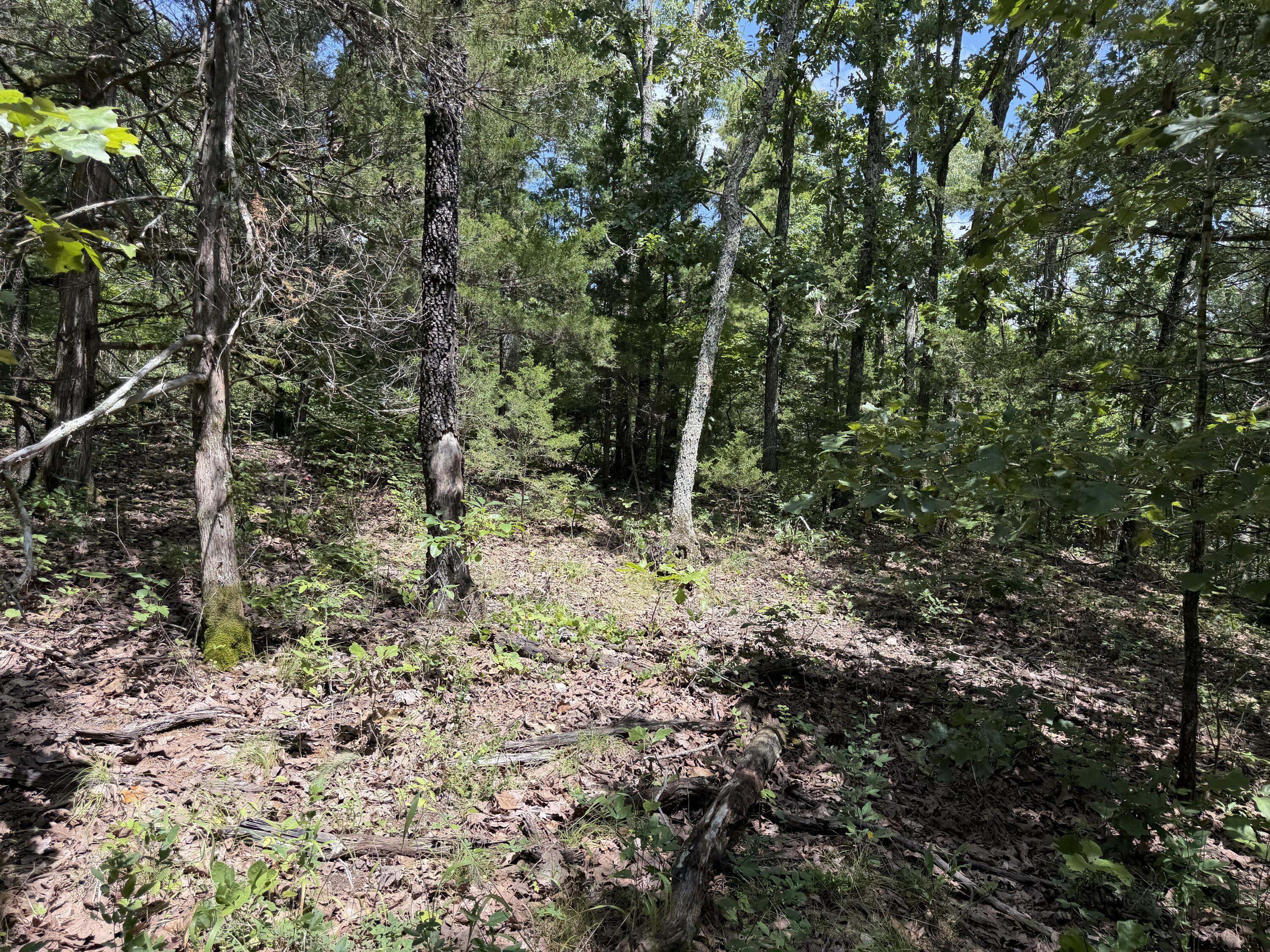 000 Ranch Road Property Photo 11