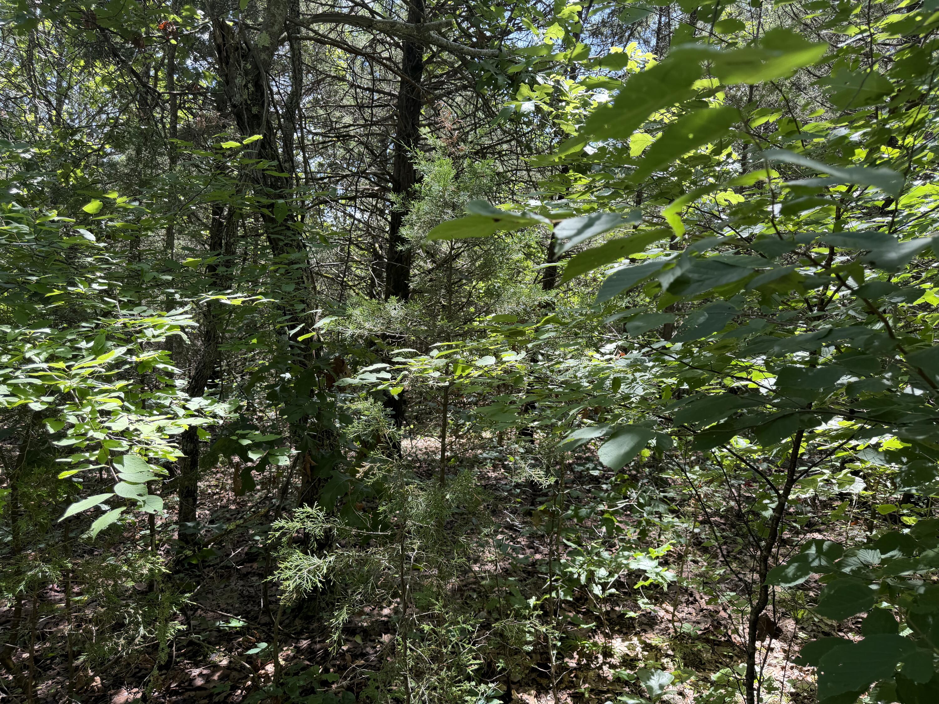 000 Ranch Road Property Photo 12