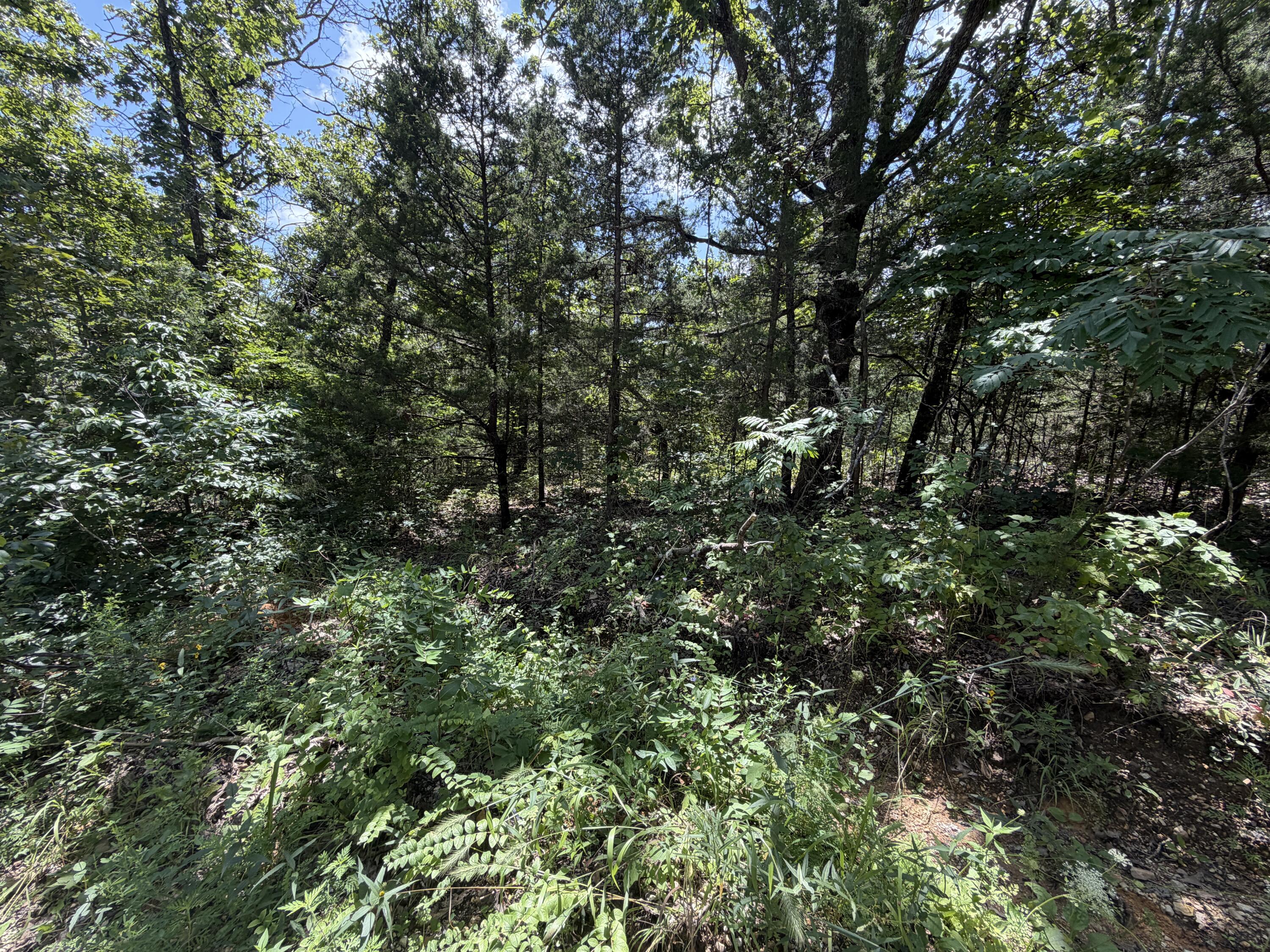 000 Ranch Road Property Photo 13