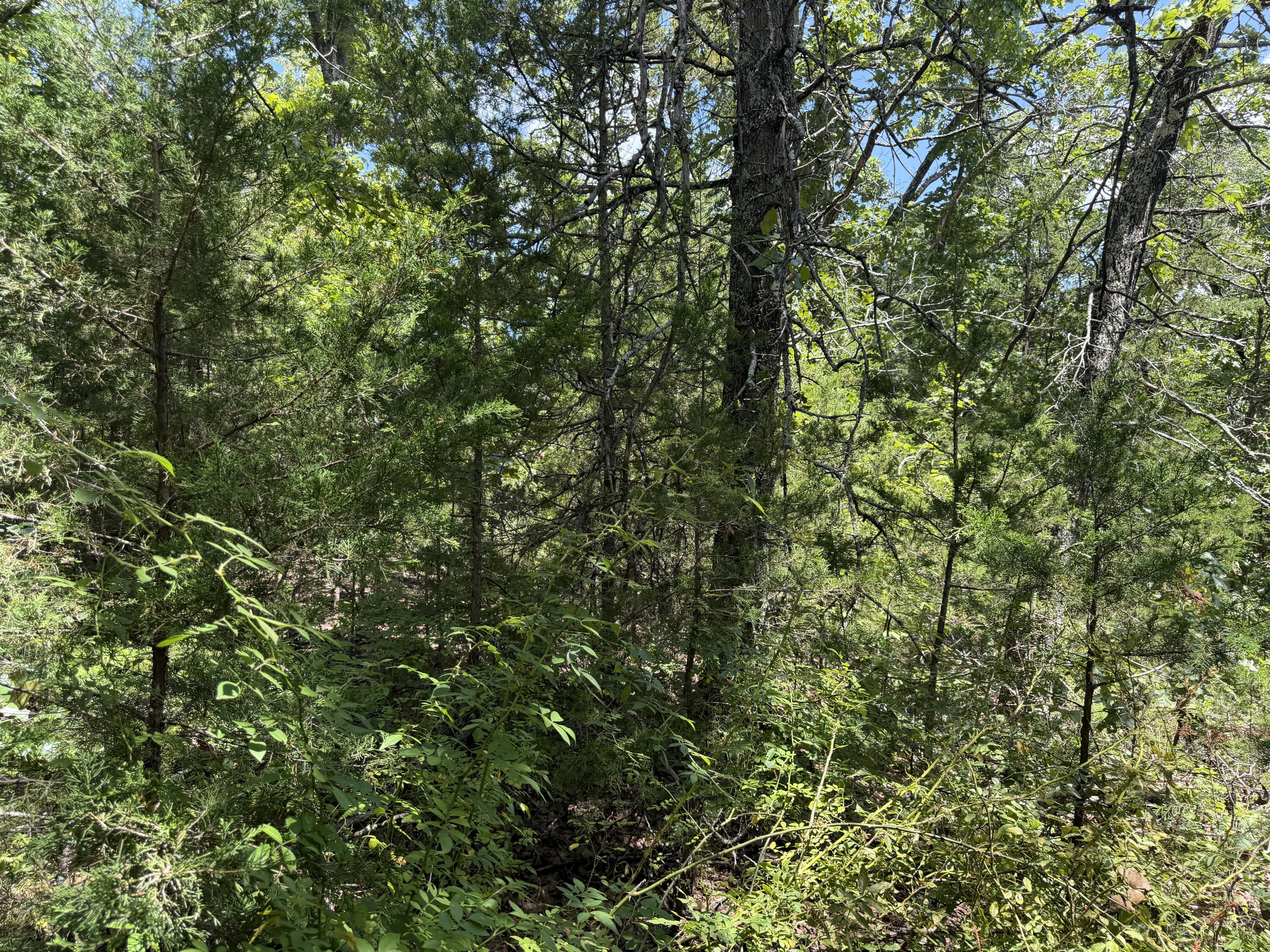 000 Ranch Road Property Photo 14