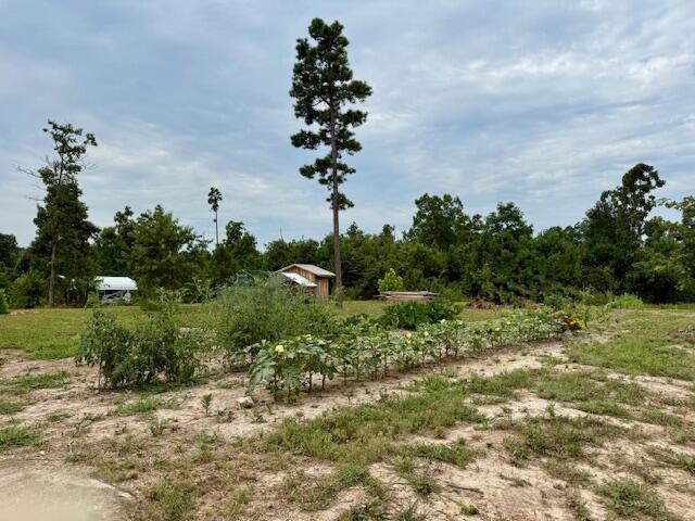 7195 Highway Kk Property Photo 44