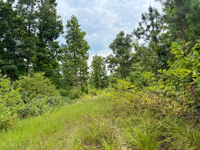 7195 Highway Kk Property Photo 51