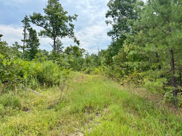 7195 Highway Kk Property Photo 52