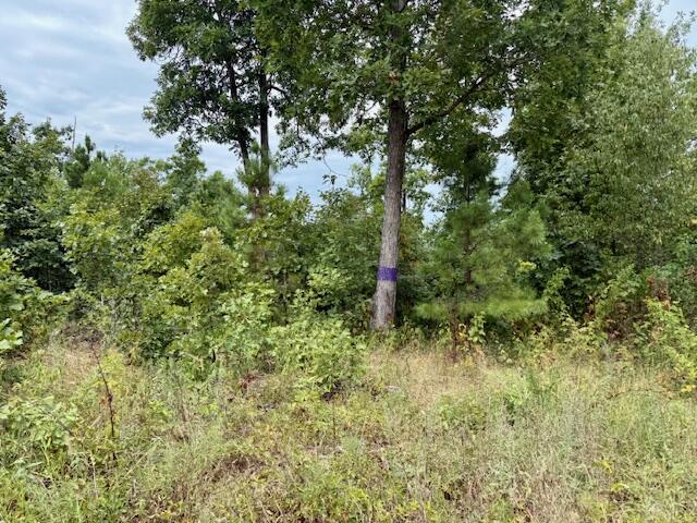 7195 Highway Kk Property Photo 53