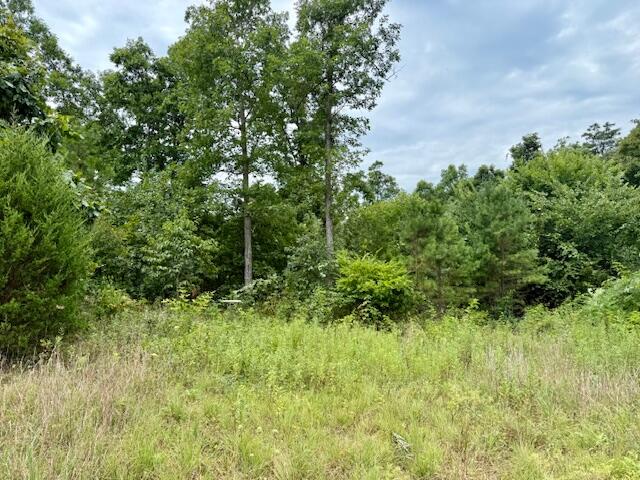 7195 Highway Kk Property Photo 54