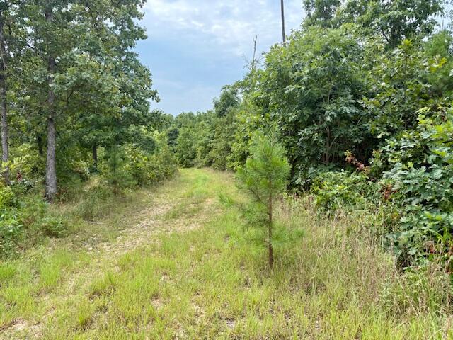 7195 Highway Kk Property Photo 55