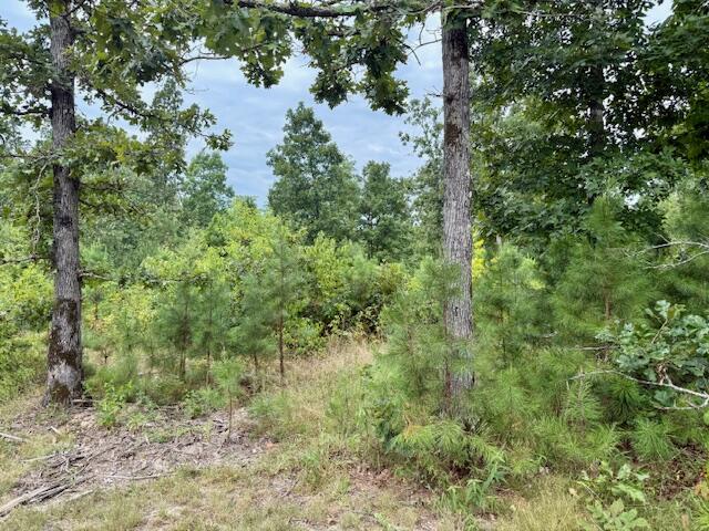 7195 Highway Kk Property Photo 57