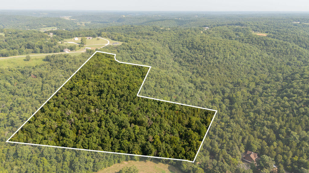 000 Misty Springs Road Property Photo 1