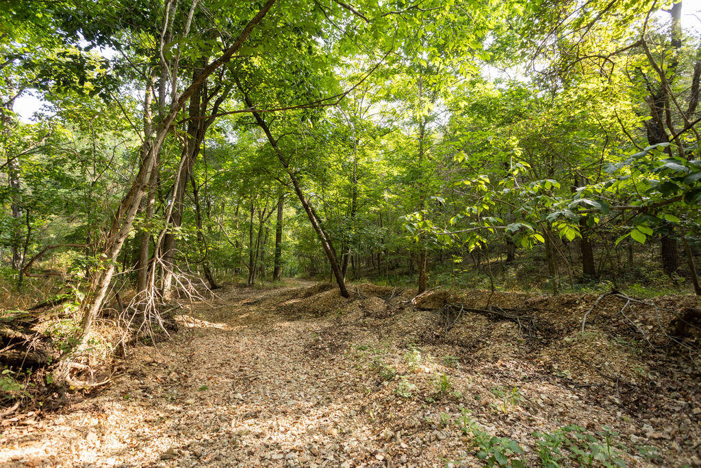 000 Misty Springs Road Property Photo 4