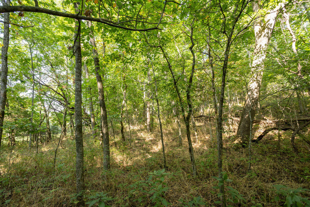 000 Misty Springs Road Property Photo 7