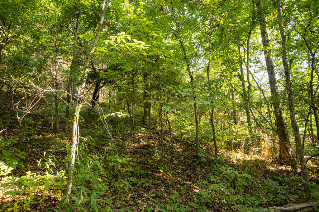 000 Misty Springs Road Property Photo 11