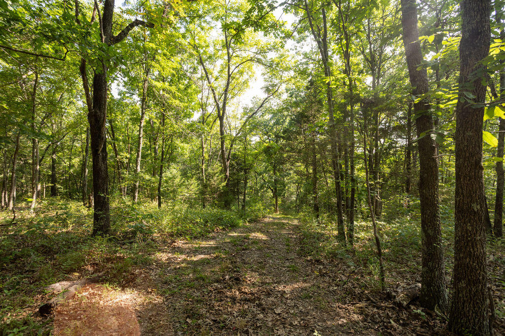 000 Misty Springs Road Property Photo 13