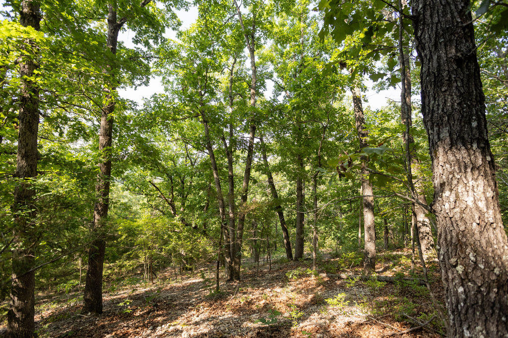000 Misty Springs Road Property Photo 20