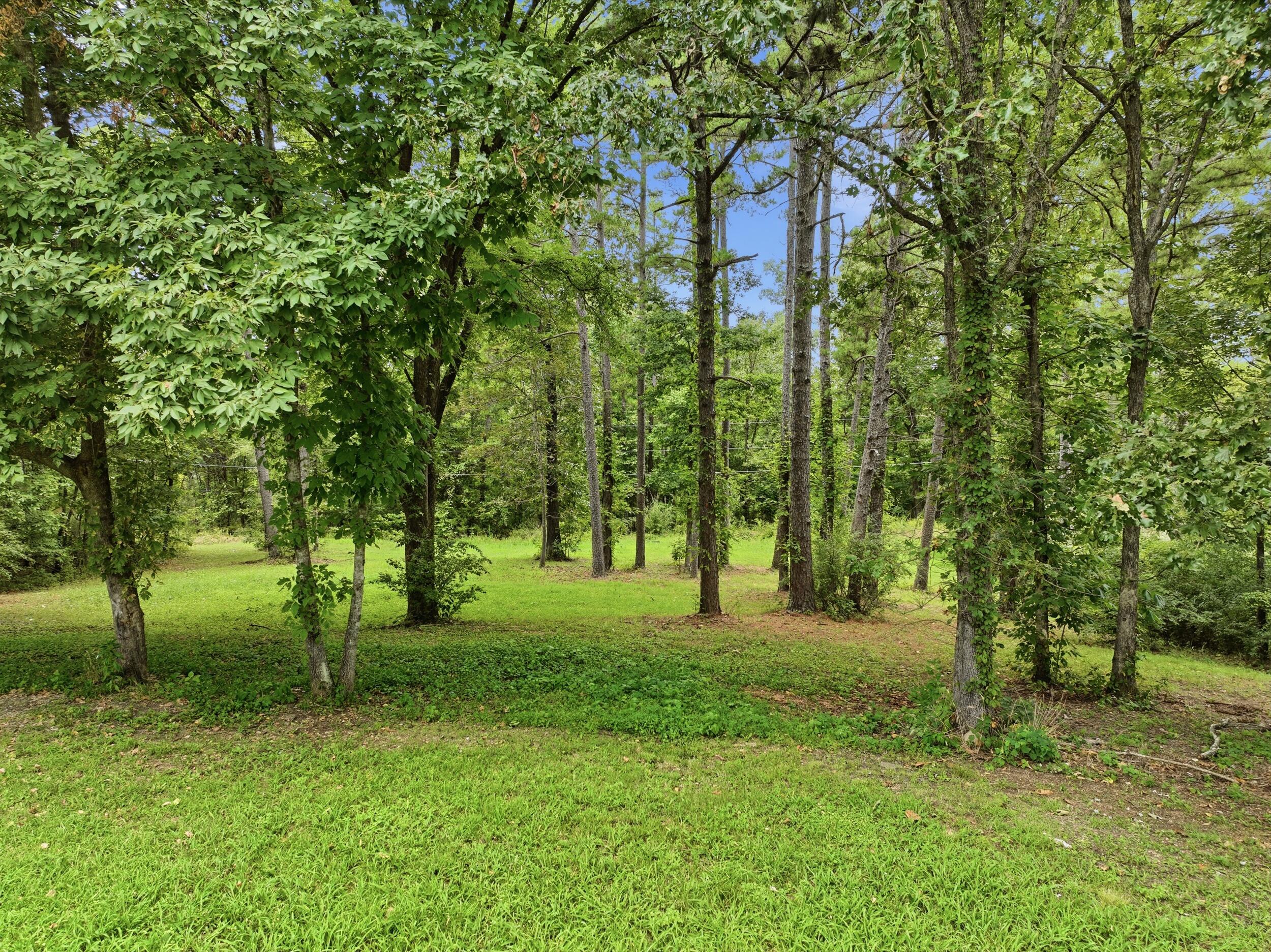18331 Cr 505 Property Photo 40