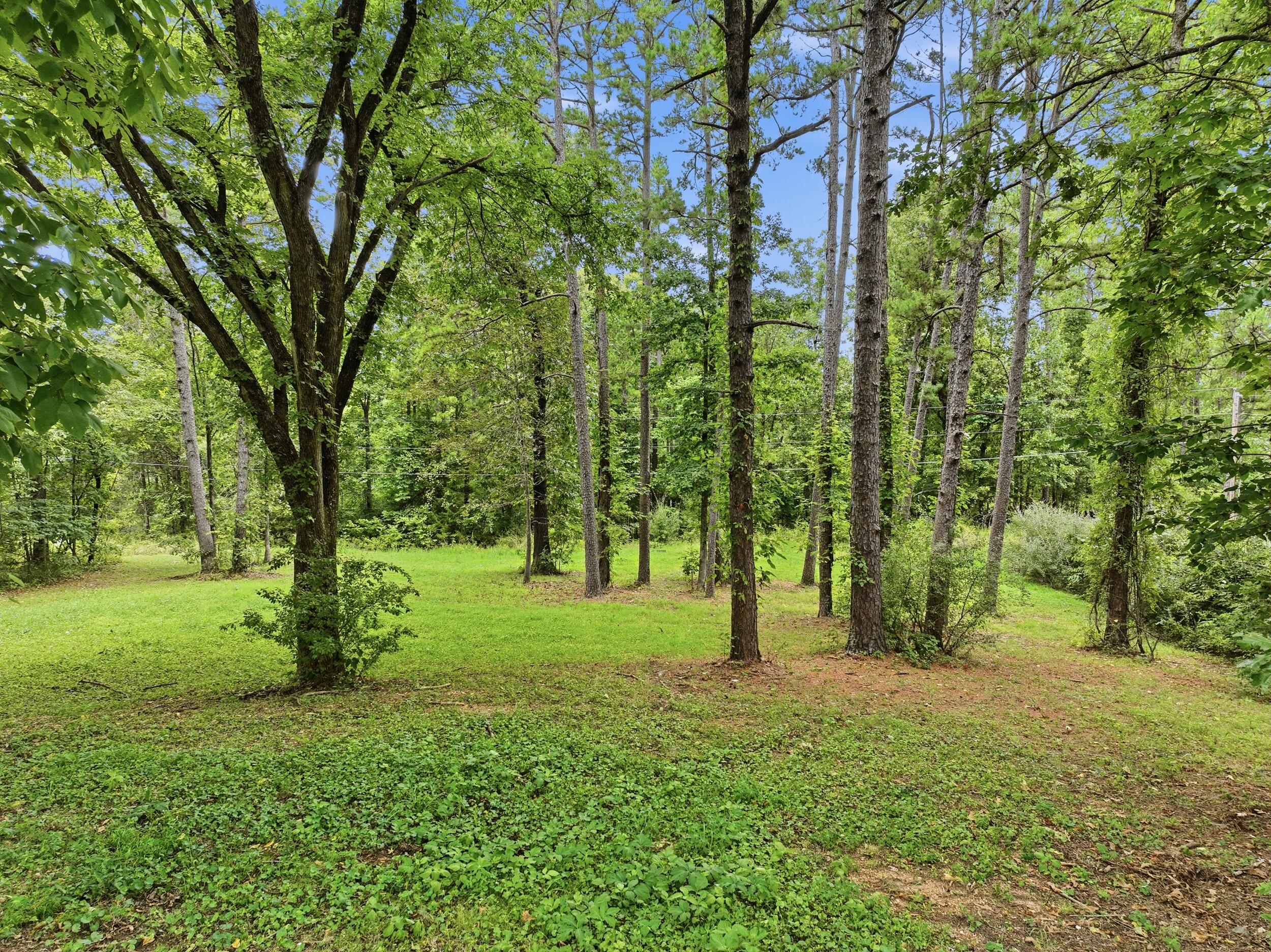 18331 Cr 505 Property Photo 41