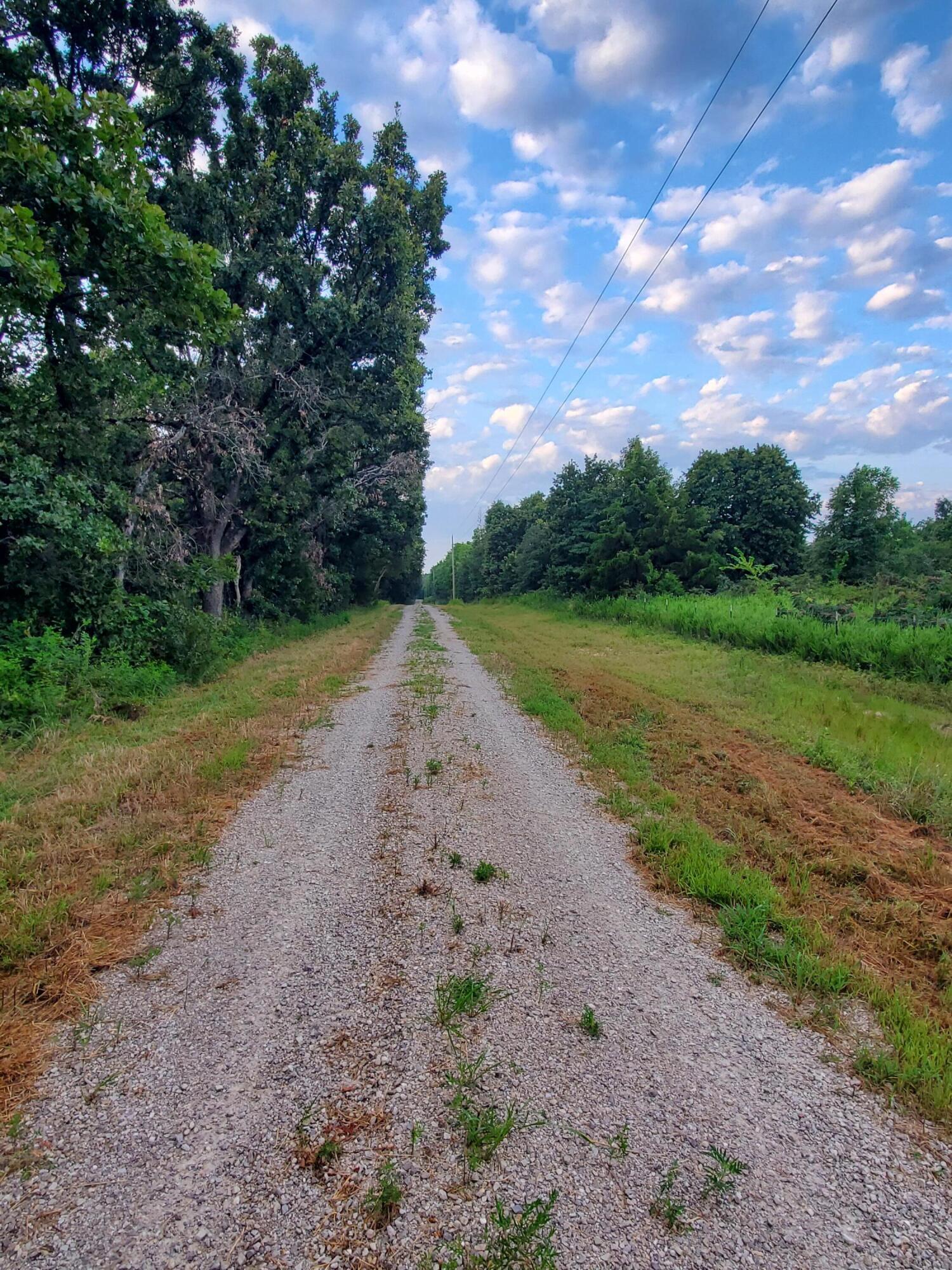 Lot 2 County Rd 2100 Property Photo 5