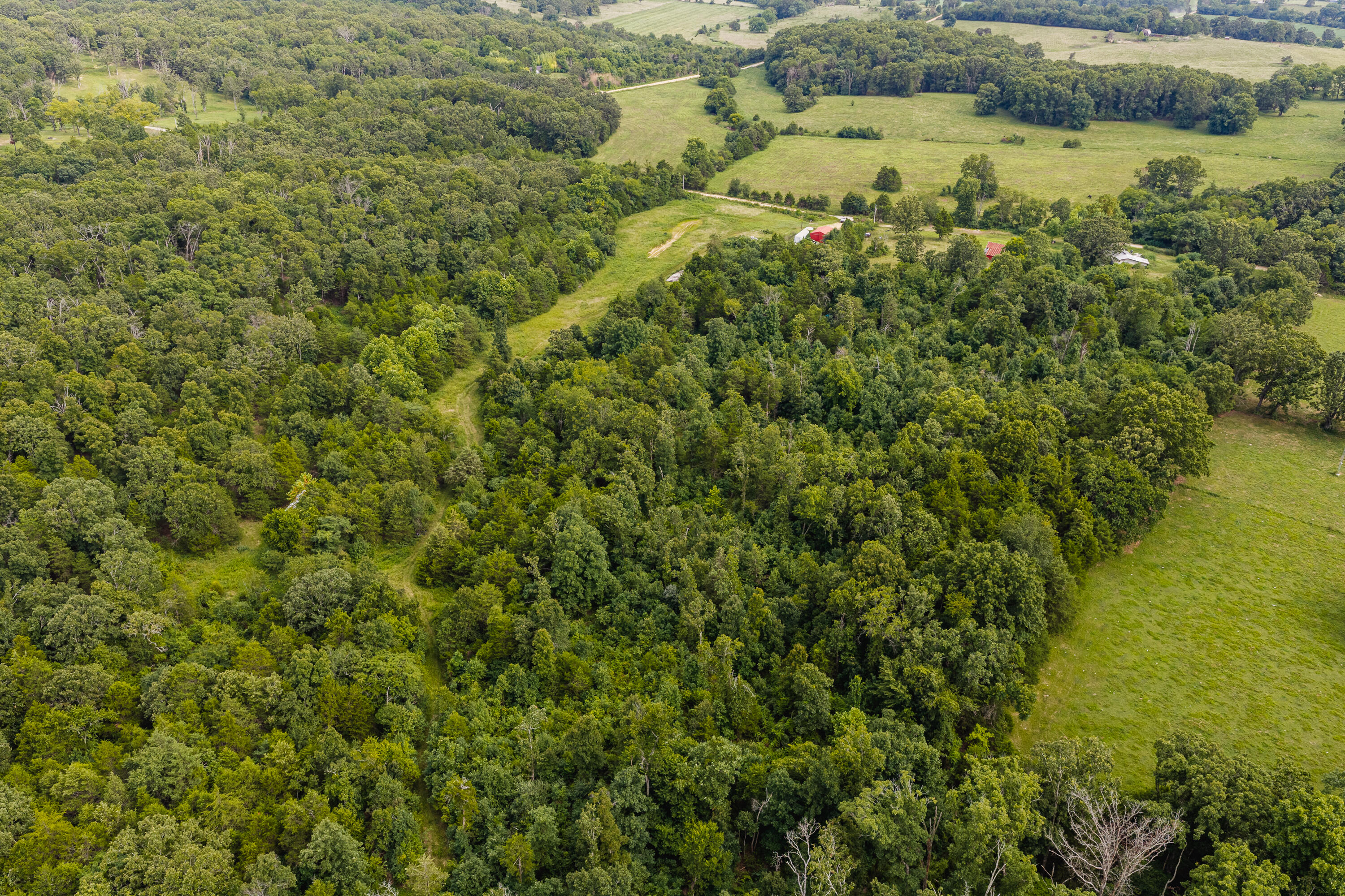 7121 County Road 1460 Property Photo 13