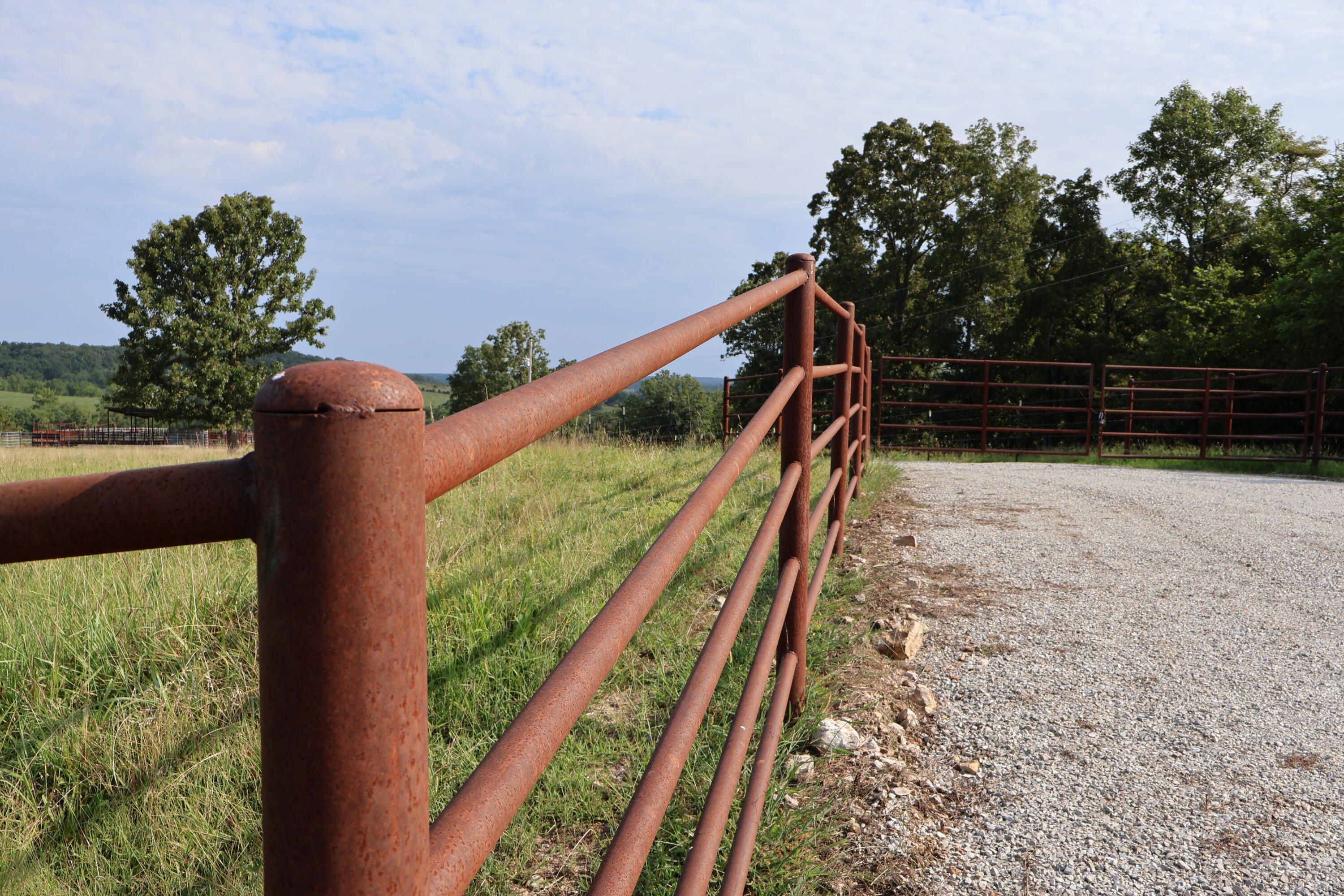 9551 State Highway Ff Property Photo 10