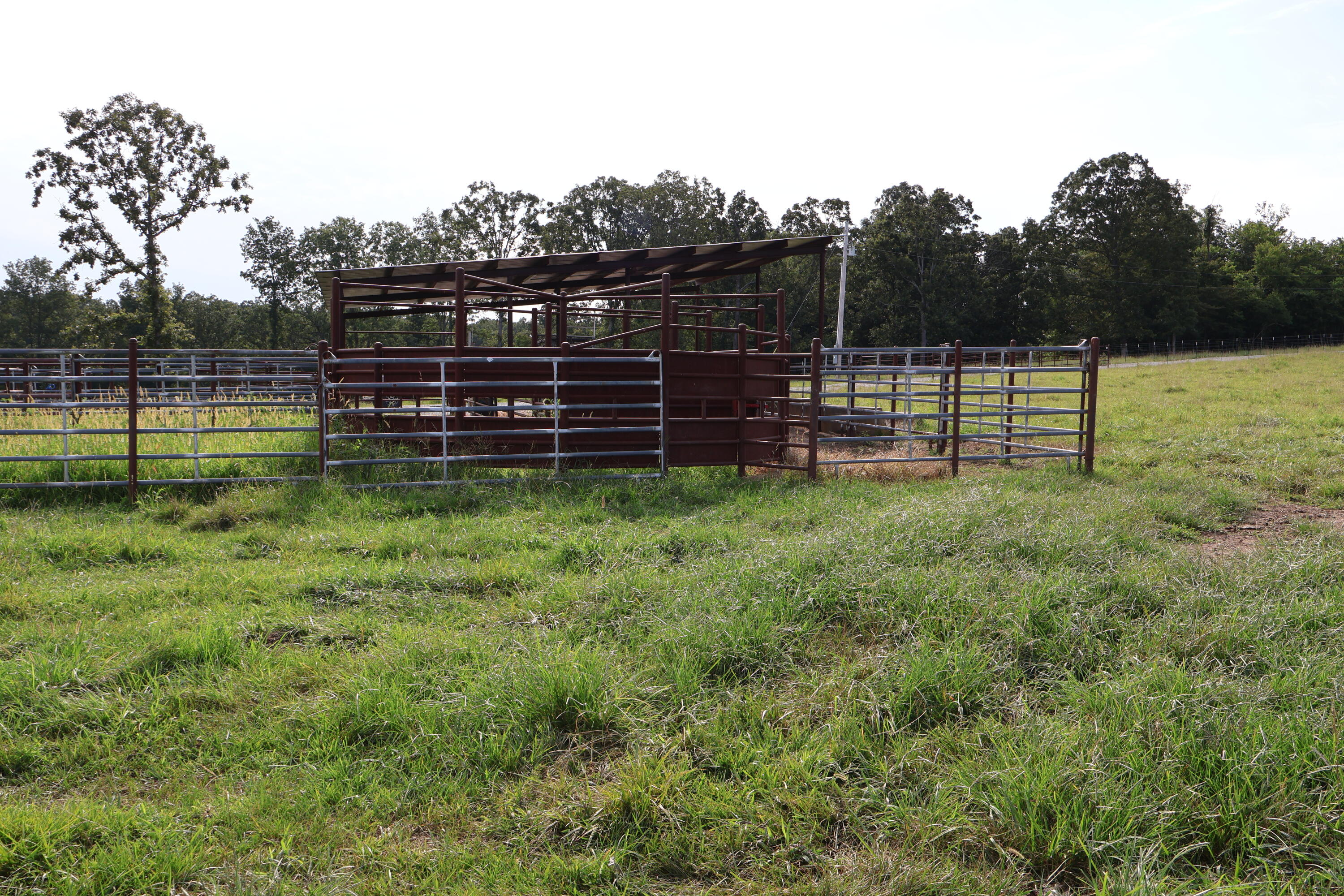 9551 State Highway Ff Property Photo 19