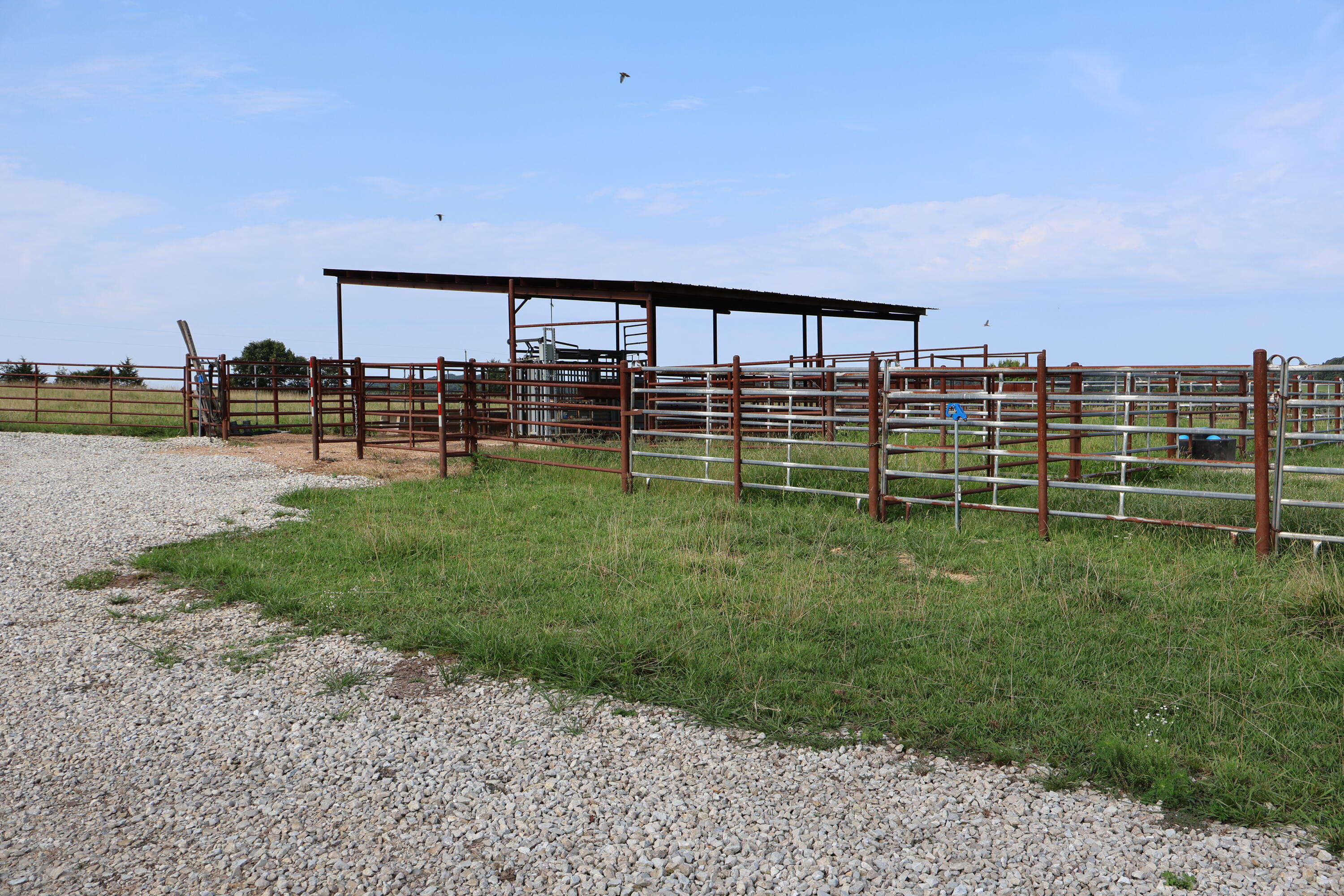 9551 State Highway Ff Property Photo 29