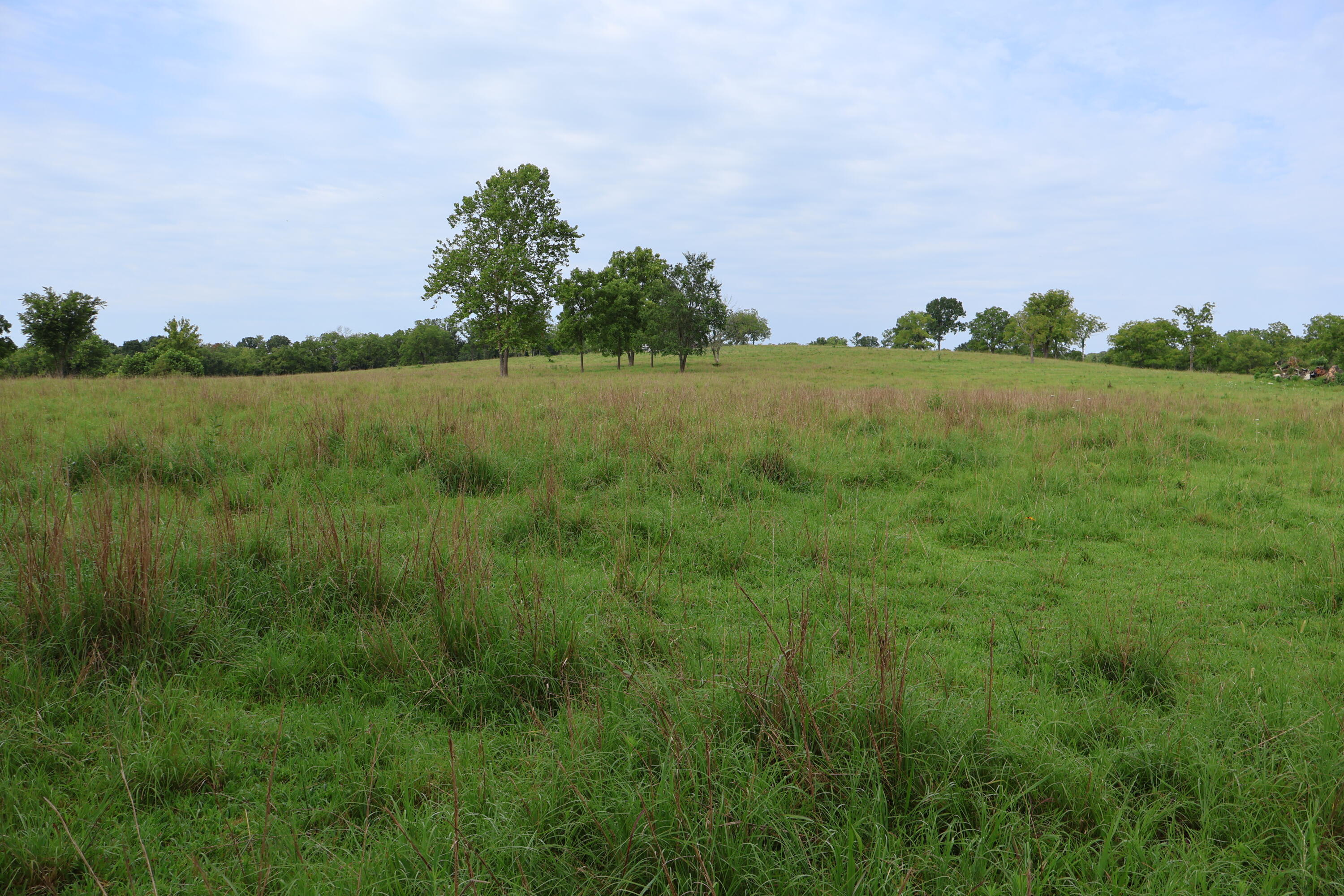 9551 State Highway Ff Property Photo 37