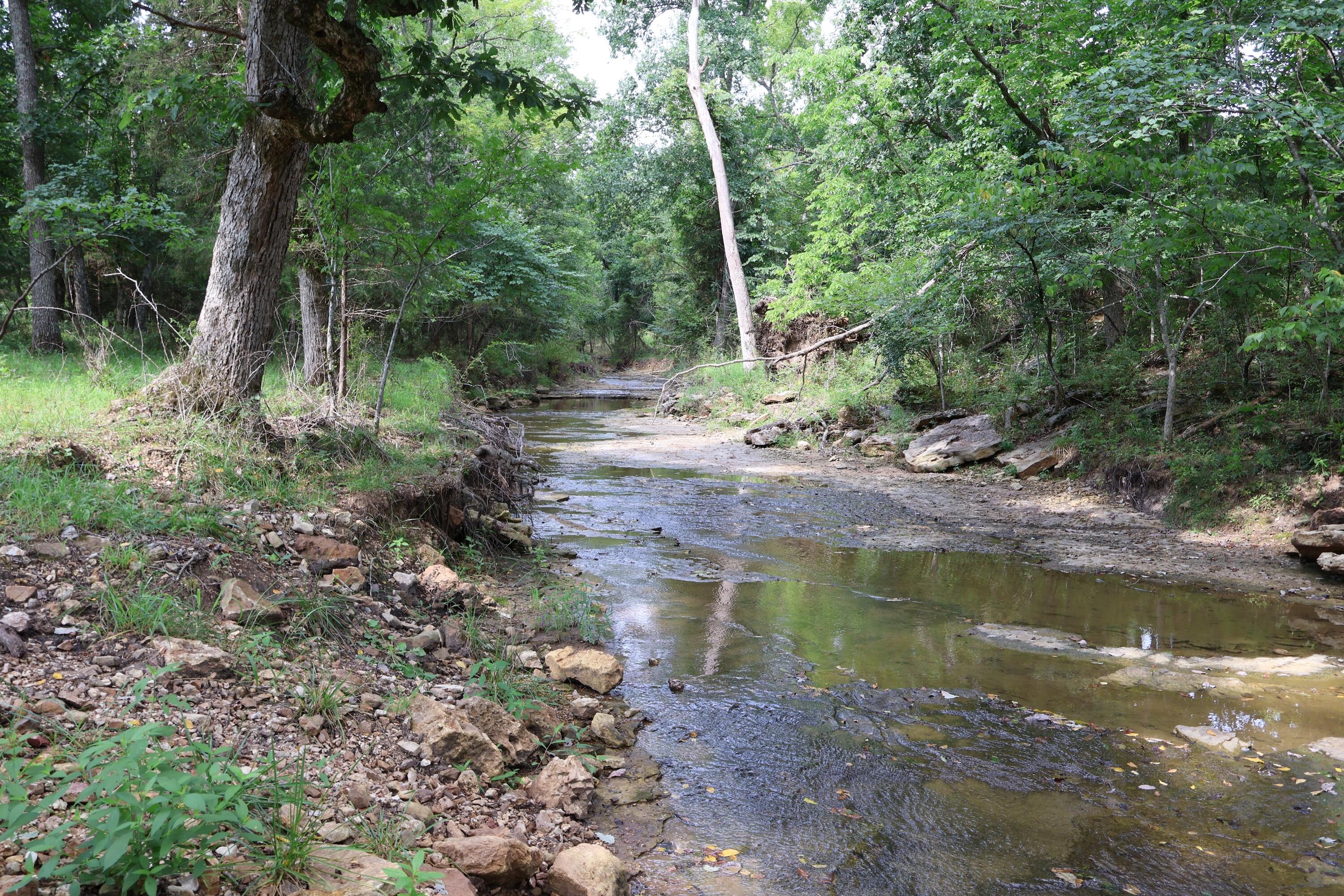 9551 State Highway Ff Property Photo 38
