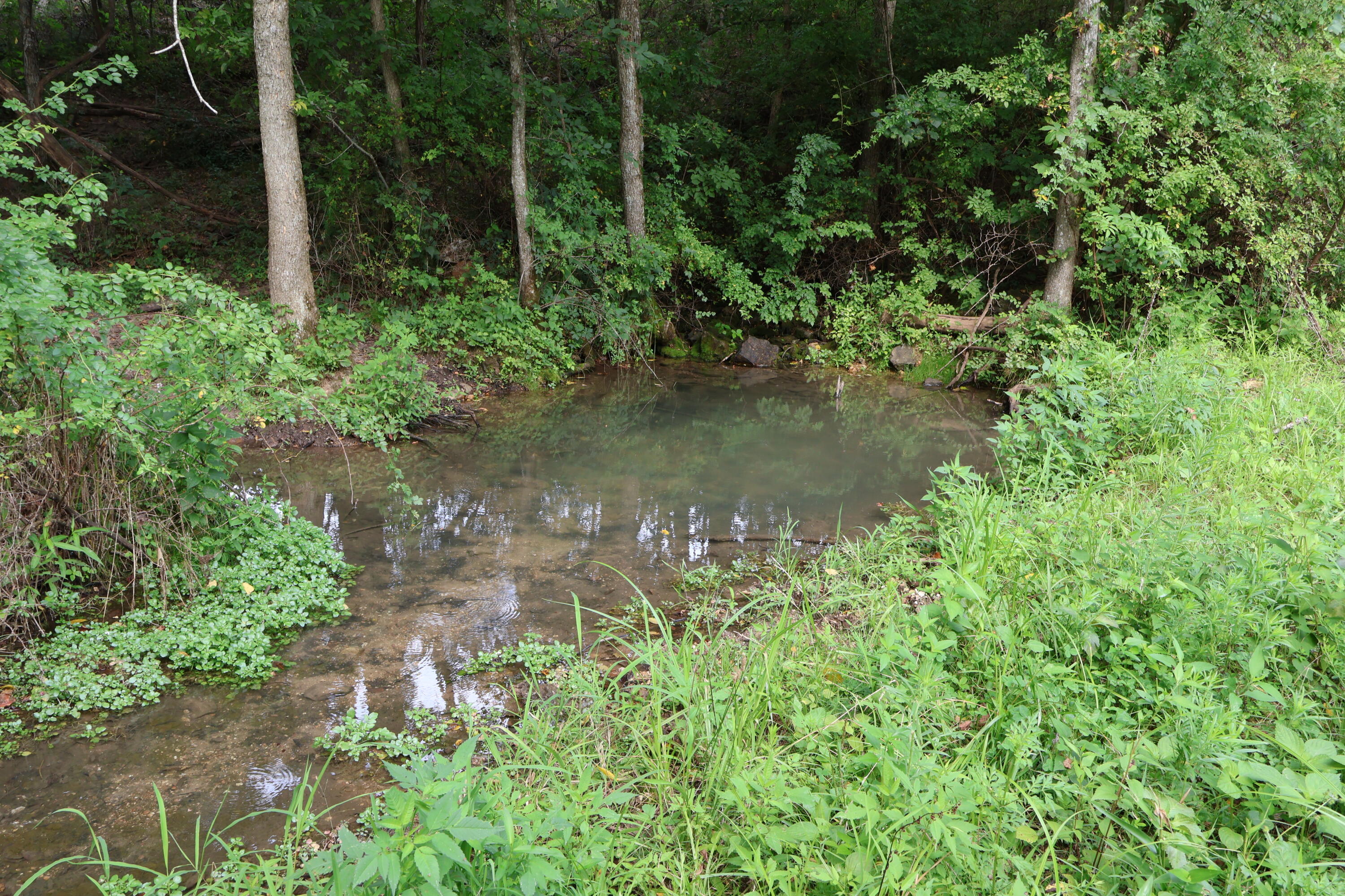 9551 State Highway Ff Property Photo 42
