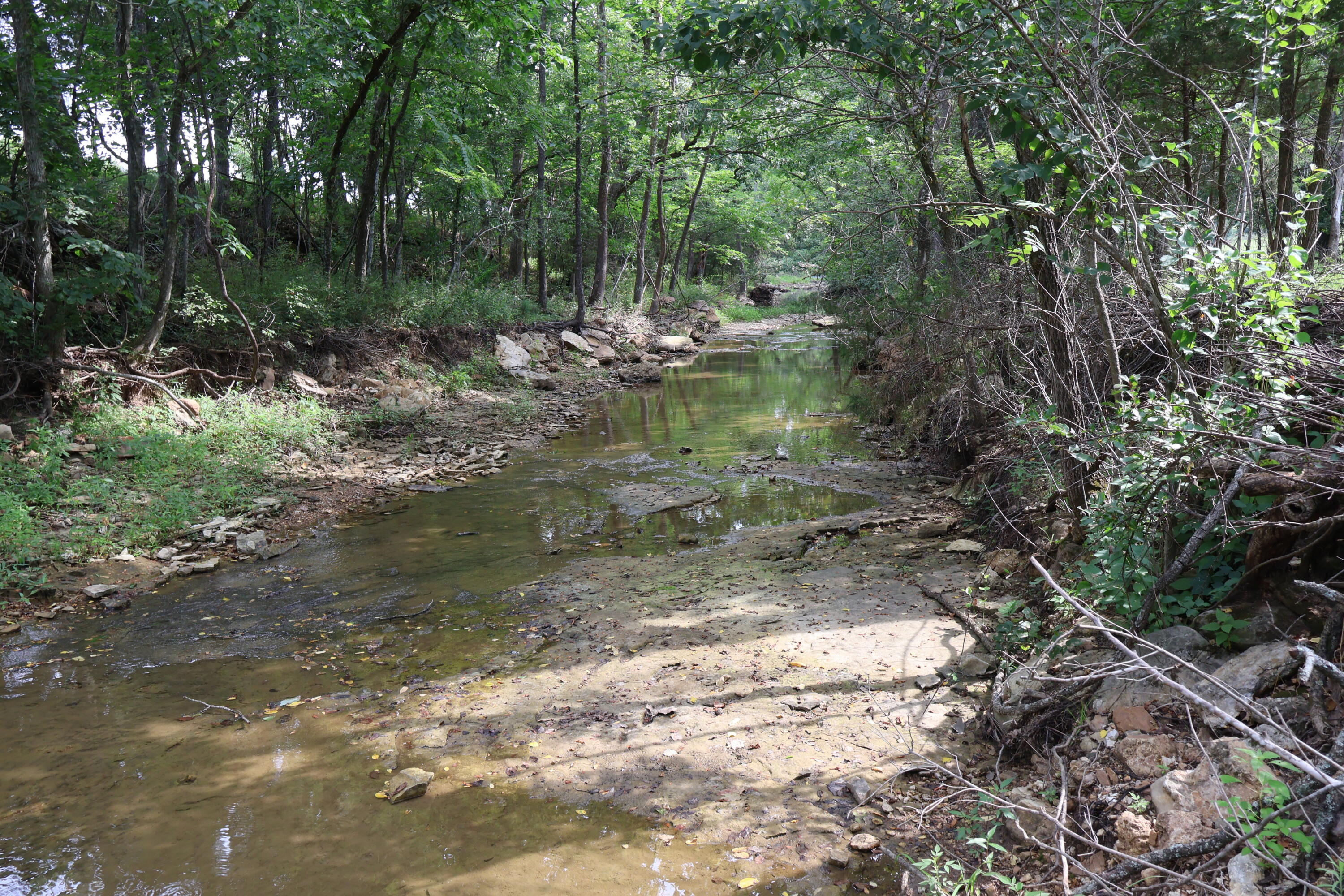 9551 State Highway Ff Property Photo 43