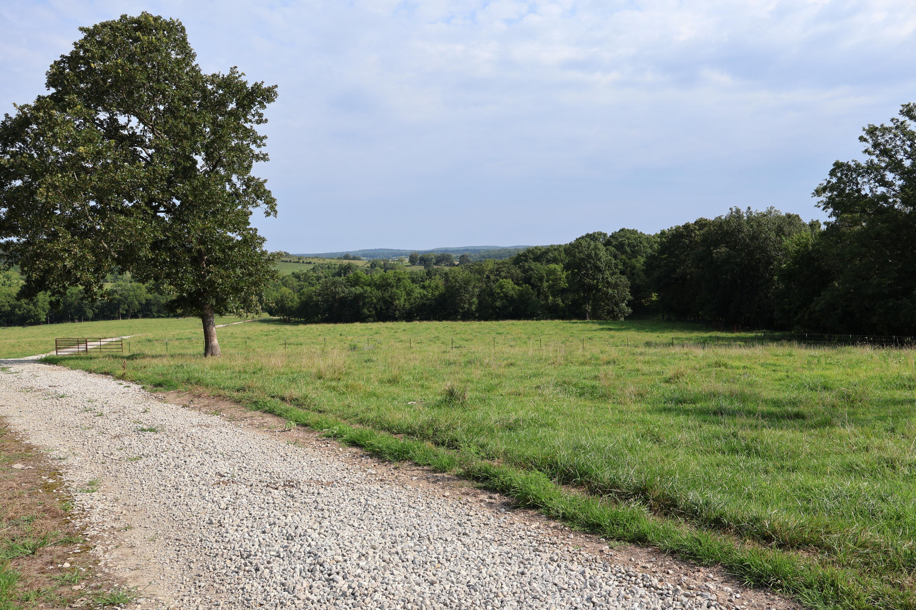 9551 State Highway Ff Property Photo 45