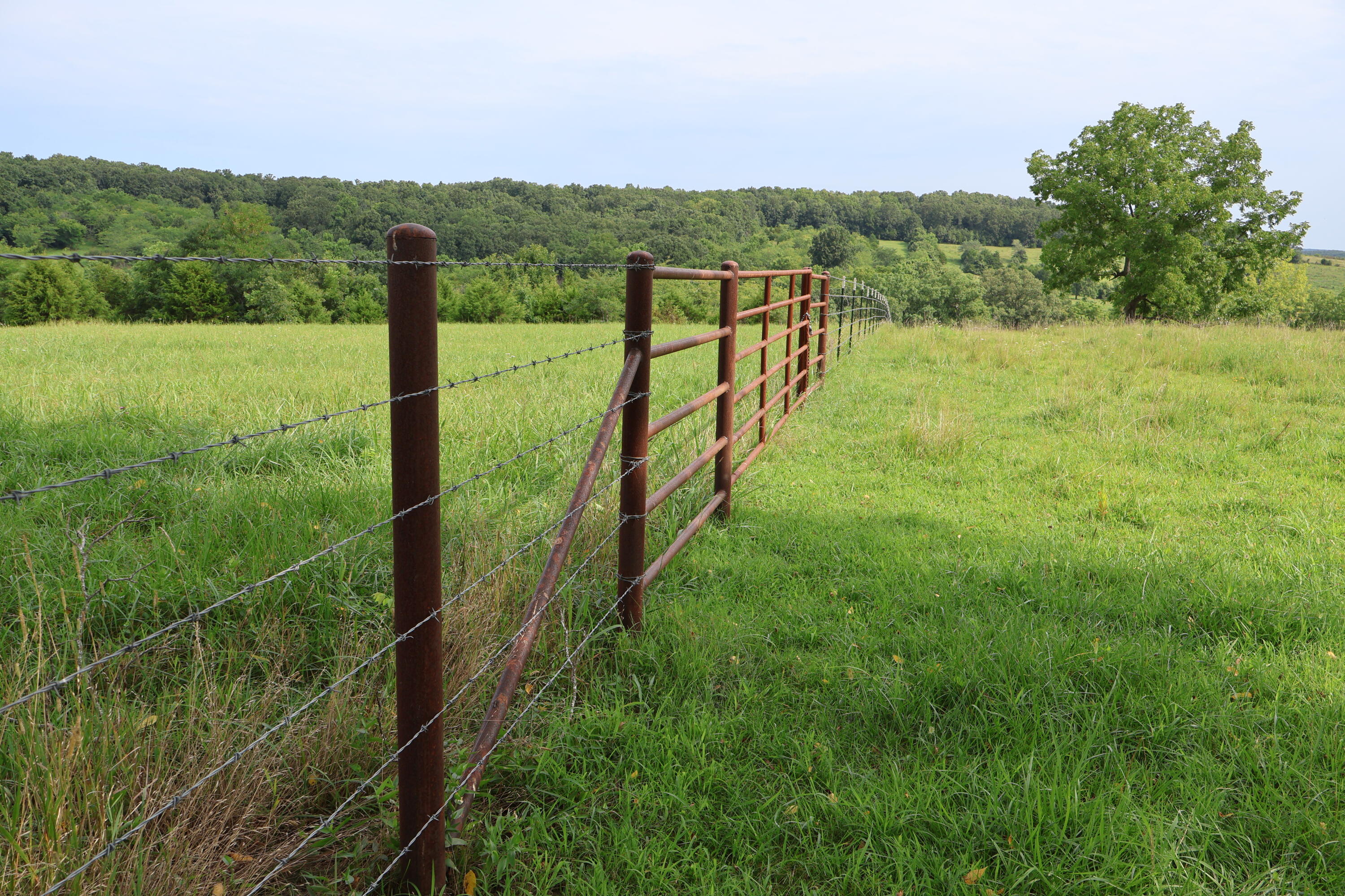 9551 State Highway Ff Property Photo 47
