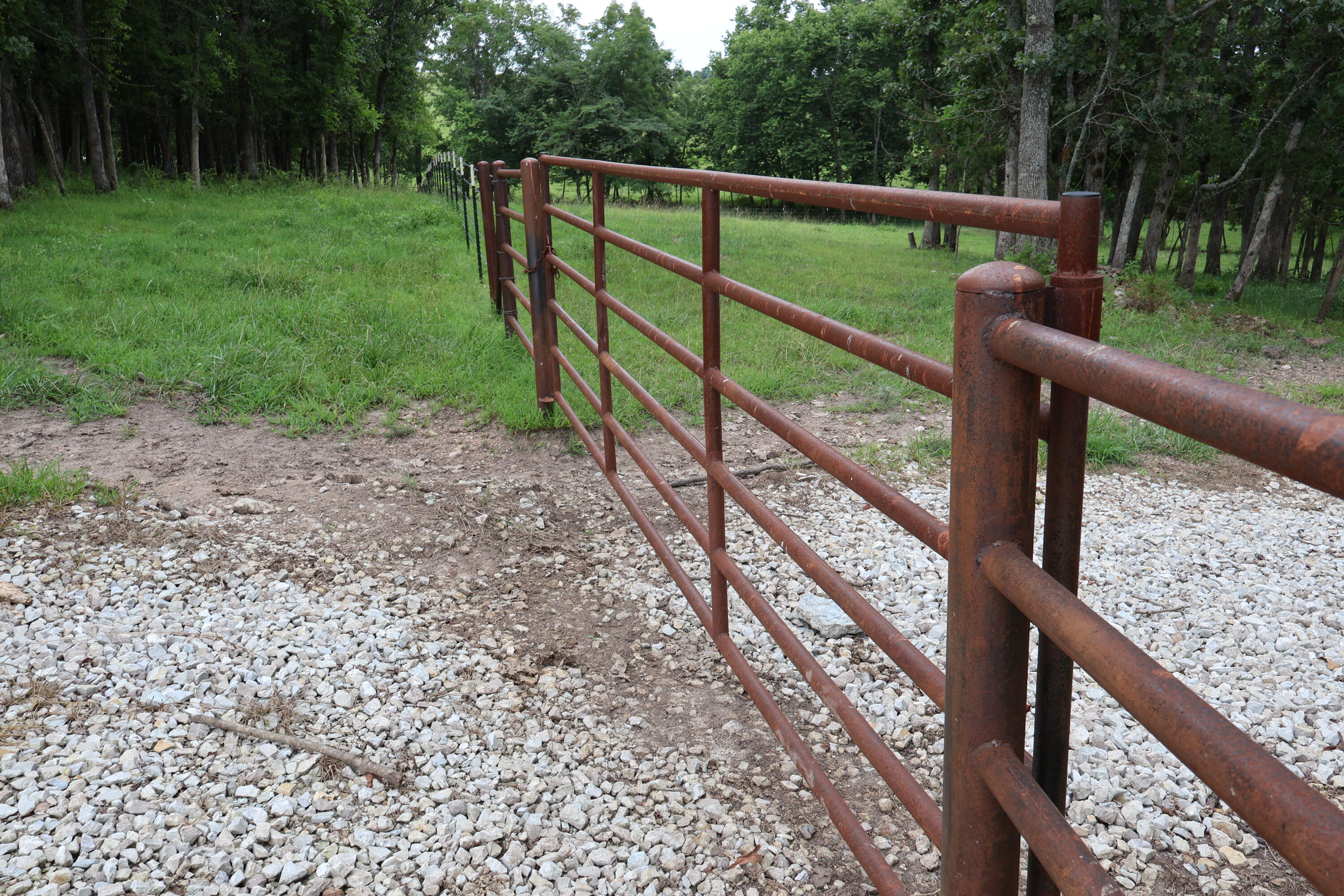 9551 State Highway Ff Property Photo 49