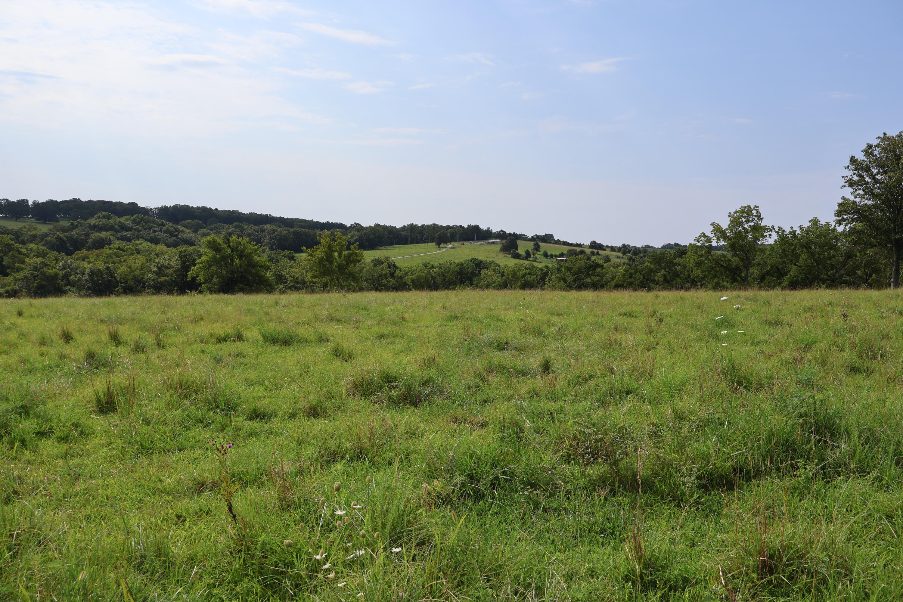 9551 State Highway Ff Property Photo 51