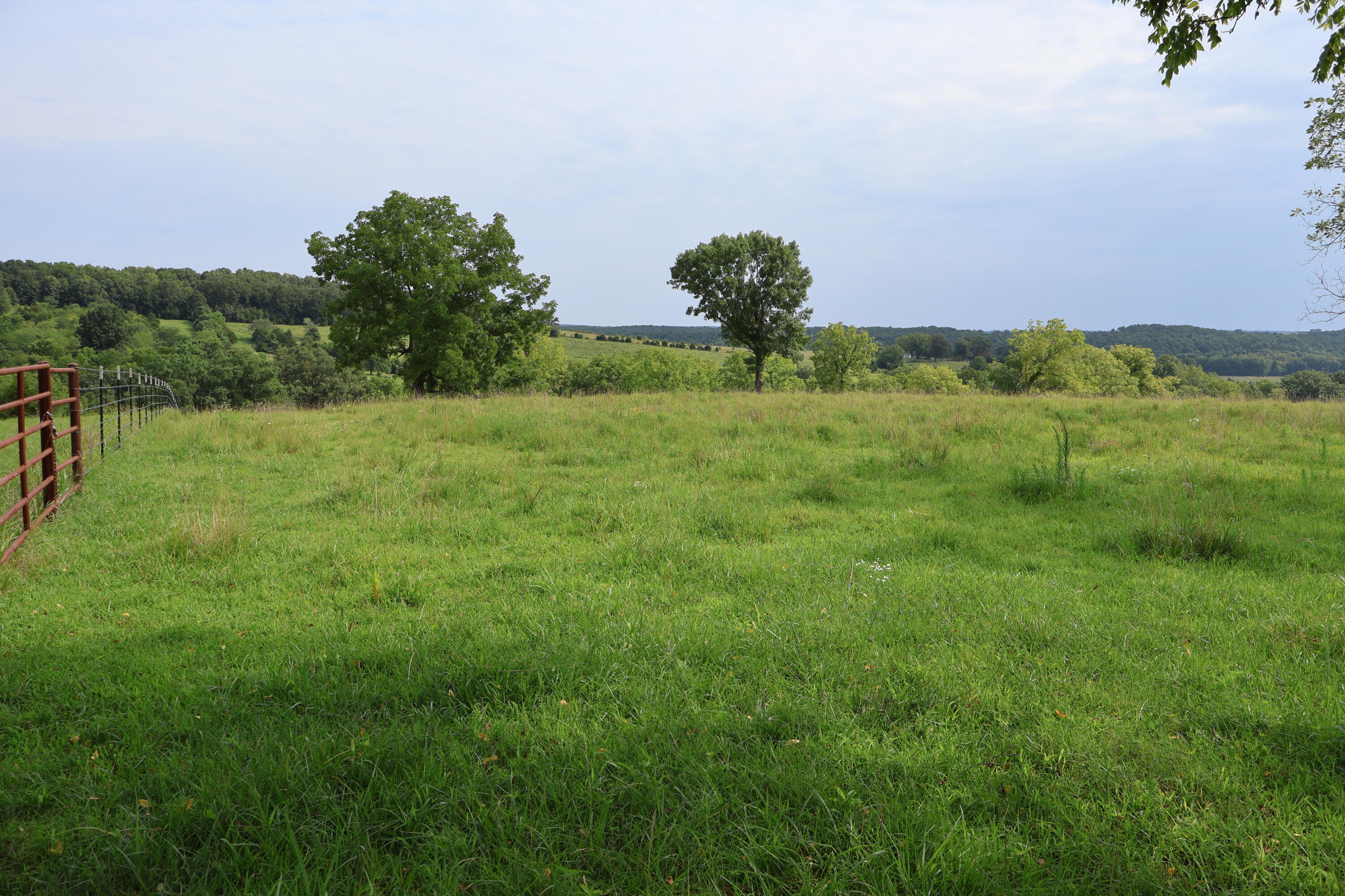 9551 State Highway Ff Property Photo 52